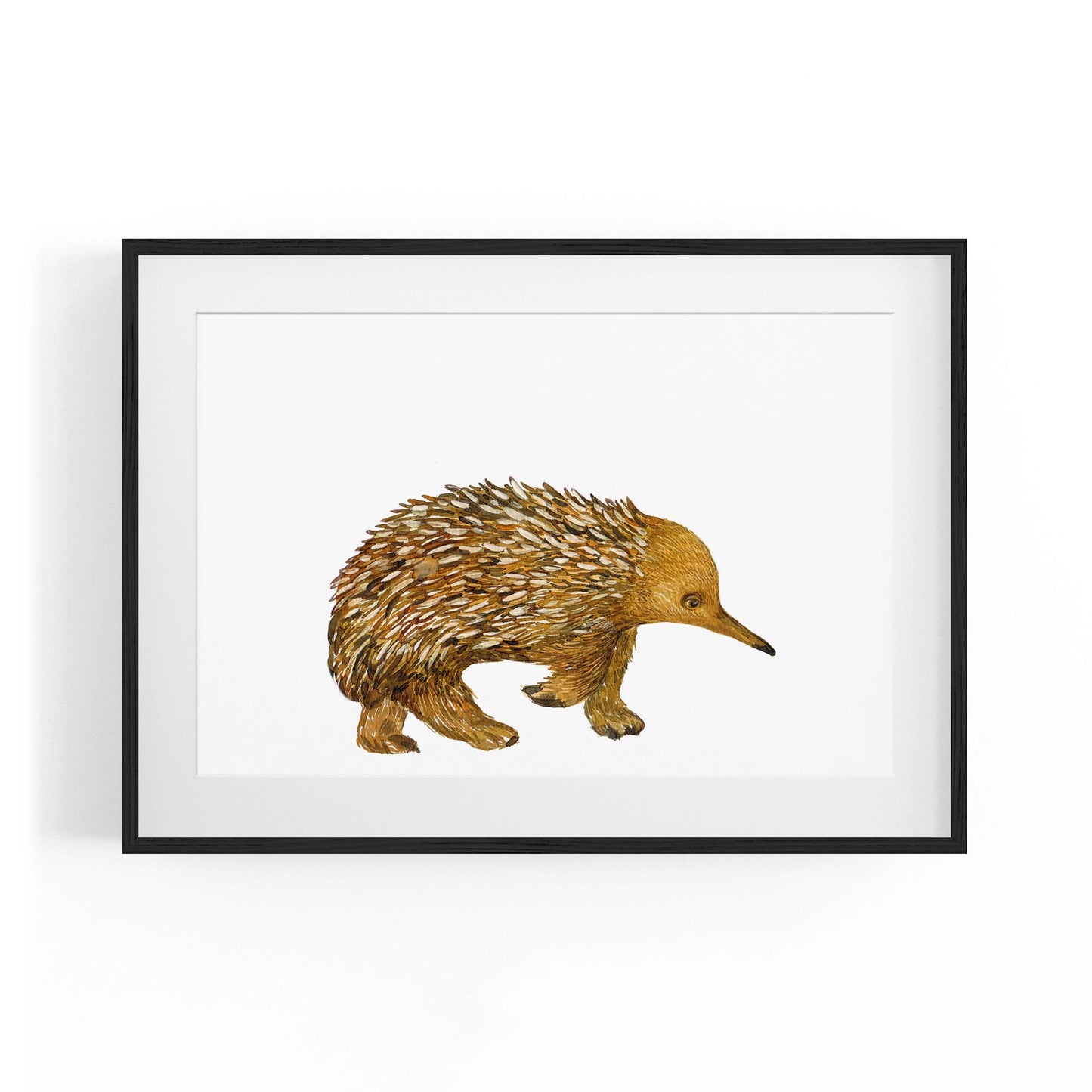 Australian Echidna Painting Animal Nursery Wall Art - The Affordable Art Company