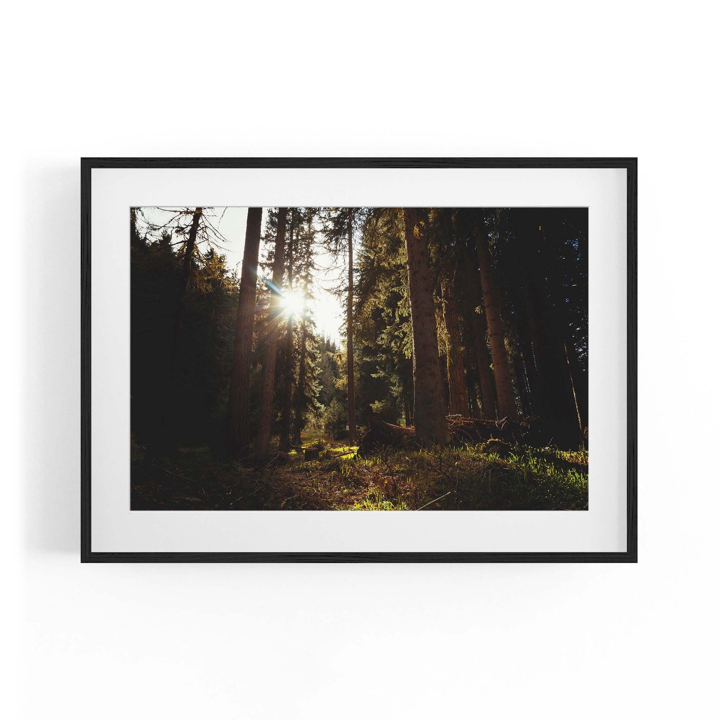 Morning Nature Sunset Photograph Wall Art - The Affordable Art Company