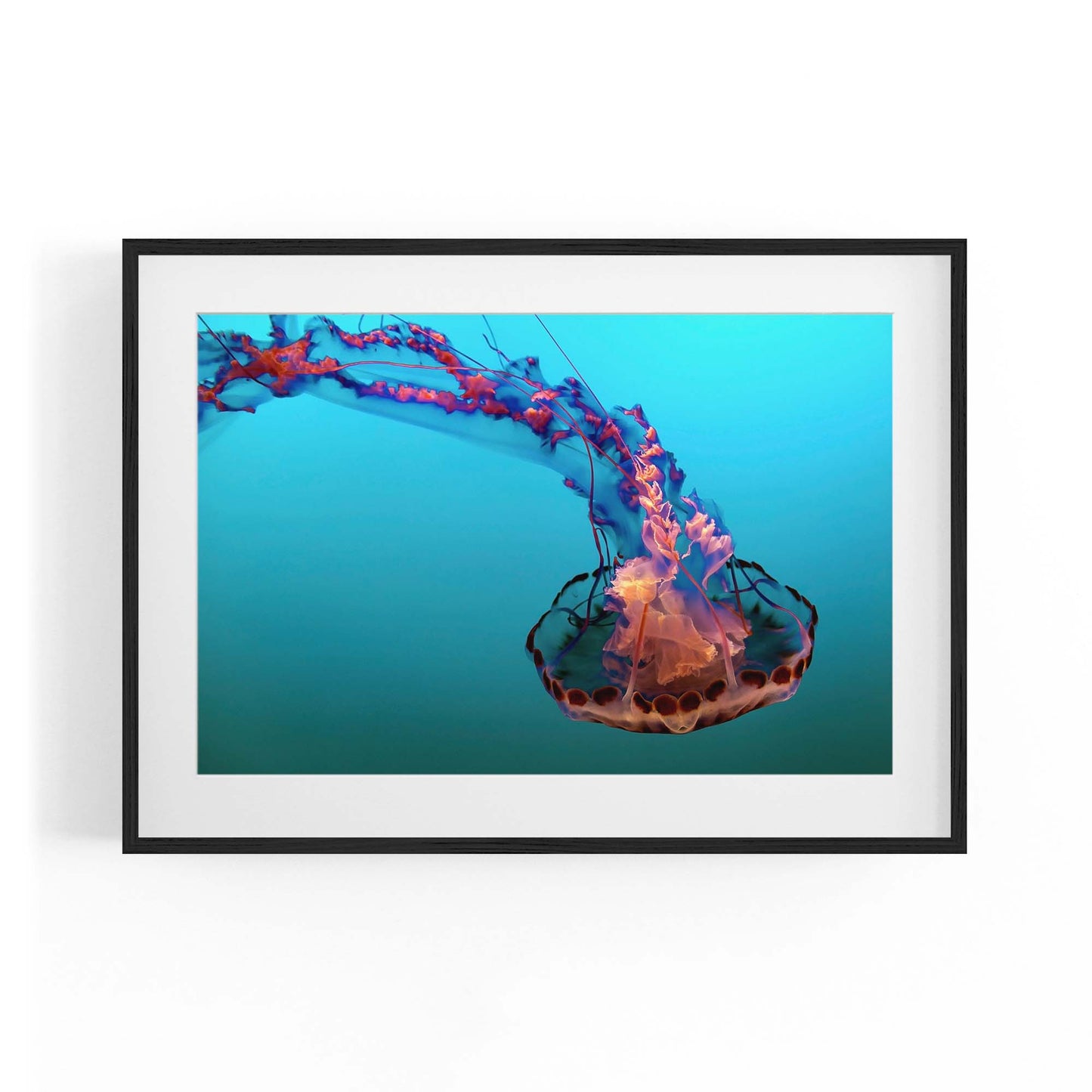 Electric Jellyfish Blue Photograph Neon Wall Art - The Affordable Art Company