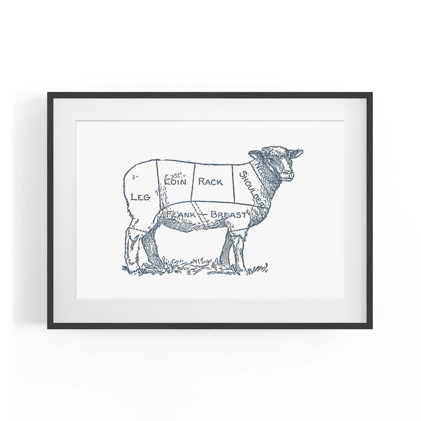 Butcher Shop Lamb Drawing Meat Wall Art - The Affordable Art Company
