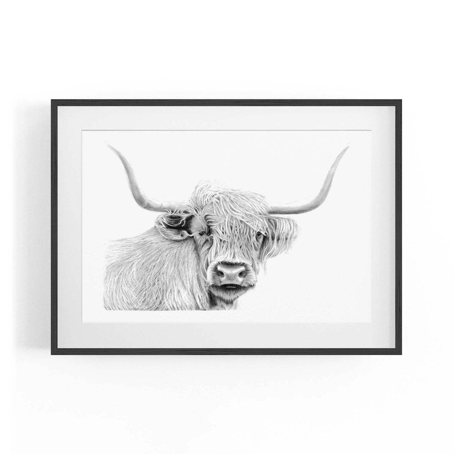 Highland Cow Detailed Drawing Minimal Wall Art - The Affordable Art Company