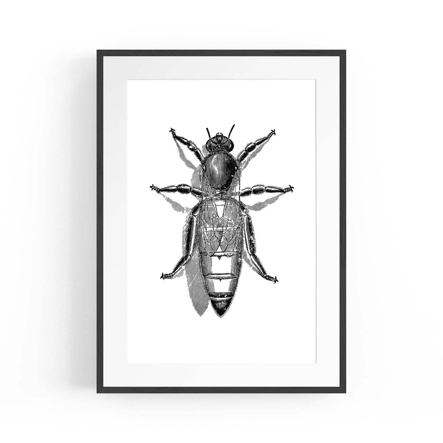 Queen Bee Drawing Insect Honey Wall Art - The Affordable Art Company