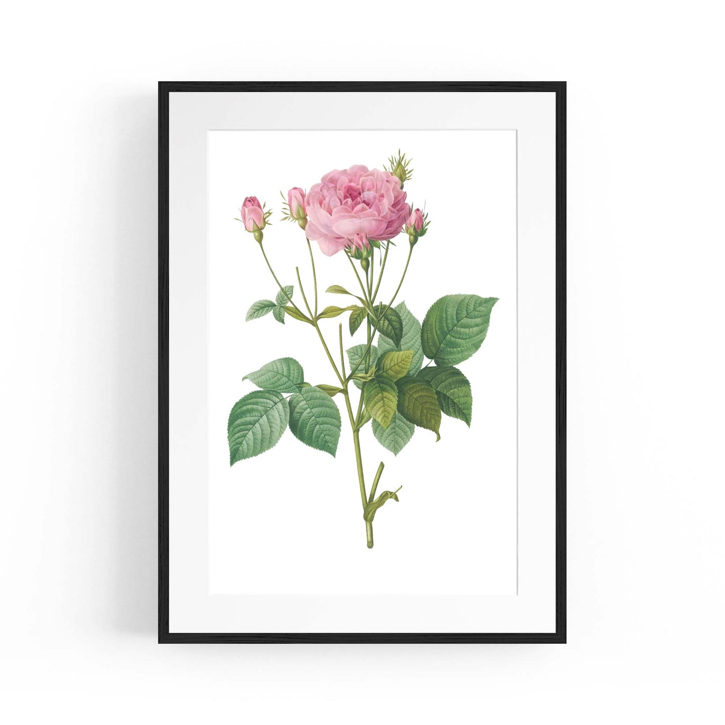 Flower Botanical Painting Kitchen Hallway Wall Art #18 - The Affordable Art Company