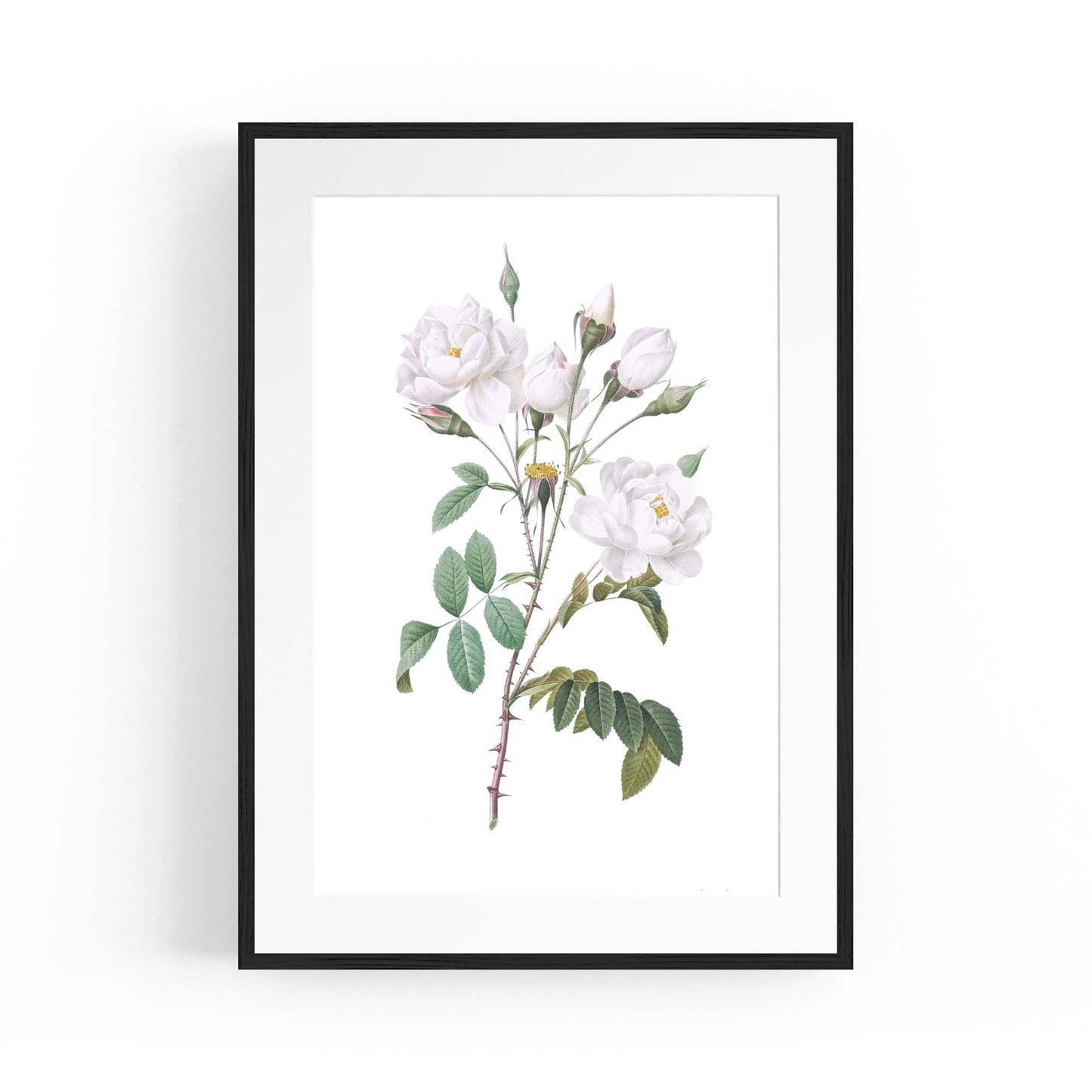 Flower Botanical Painting Kitchen Hallway Wall Art #15 - The Affordable Art Company