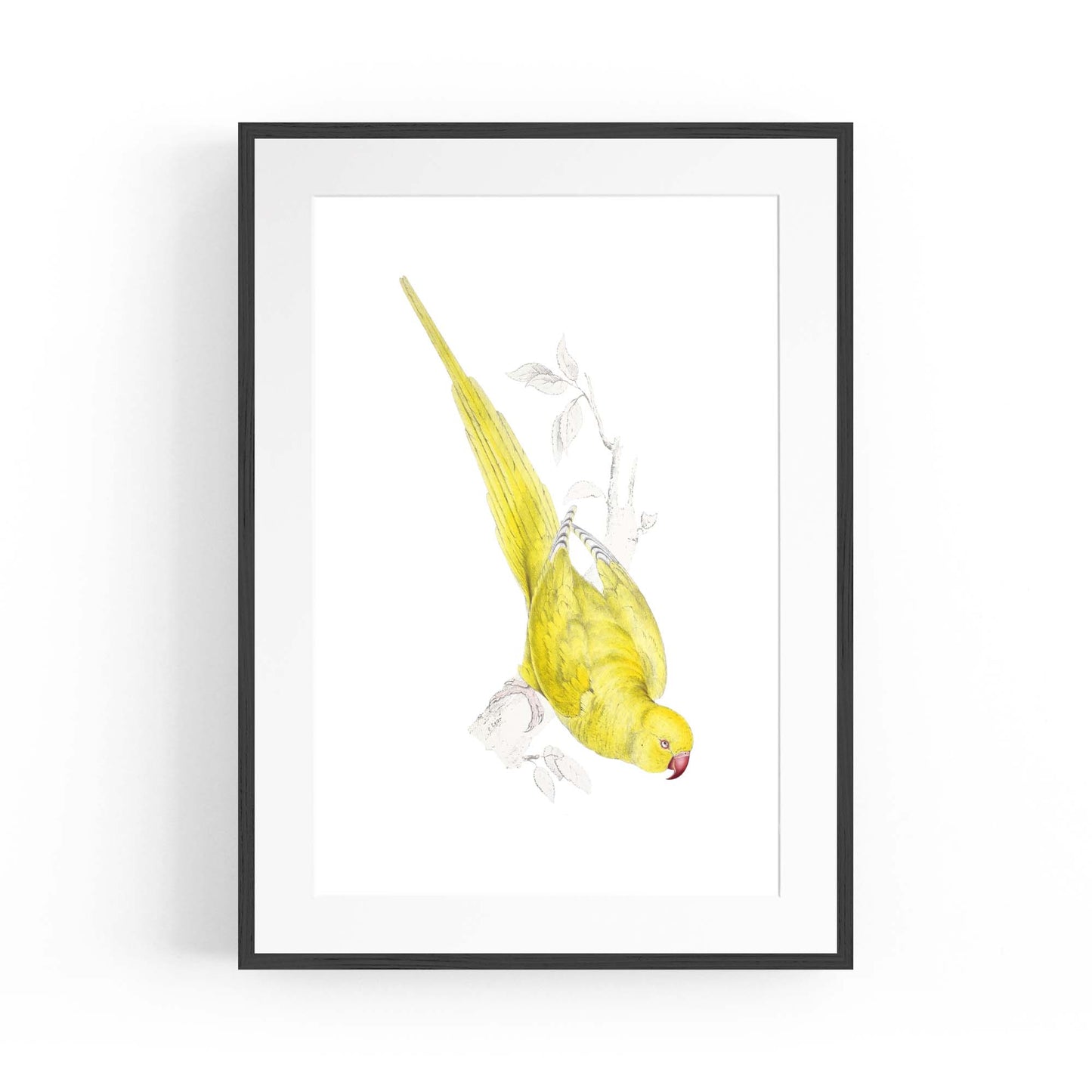 Yellow Roseringed Parakeet Exotic Bird Wall Art - The Affordable Art Company