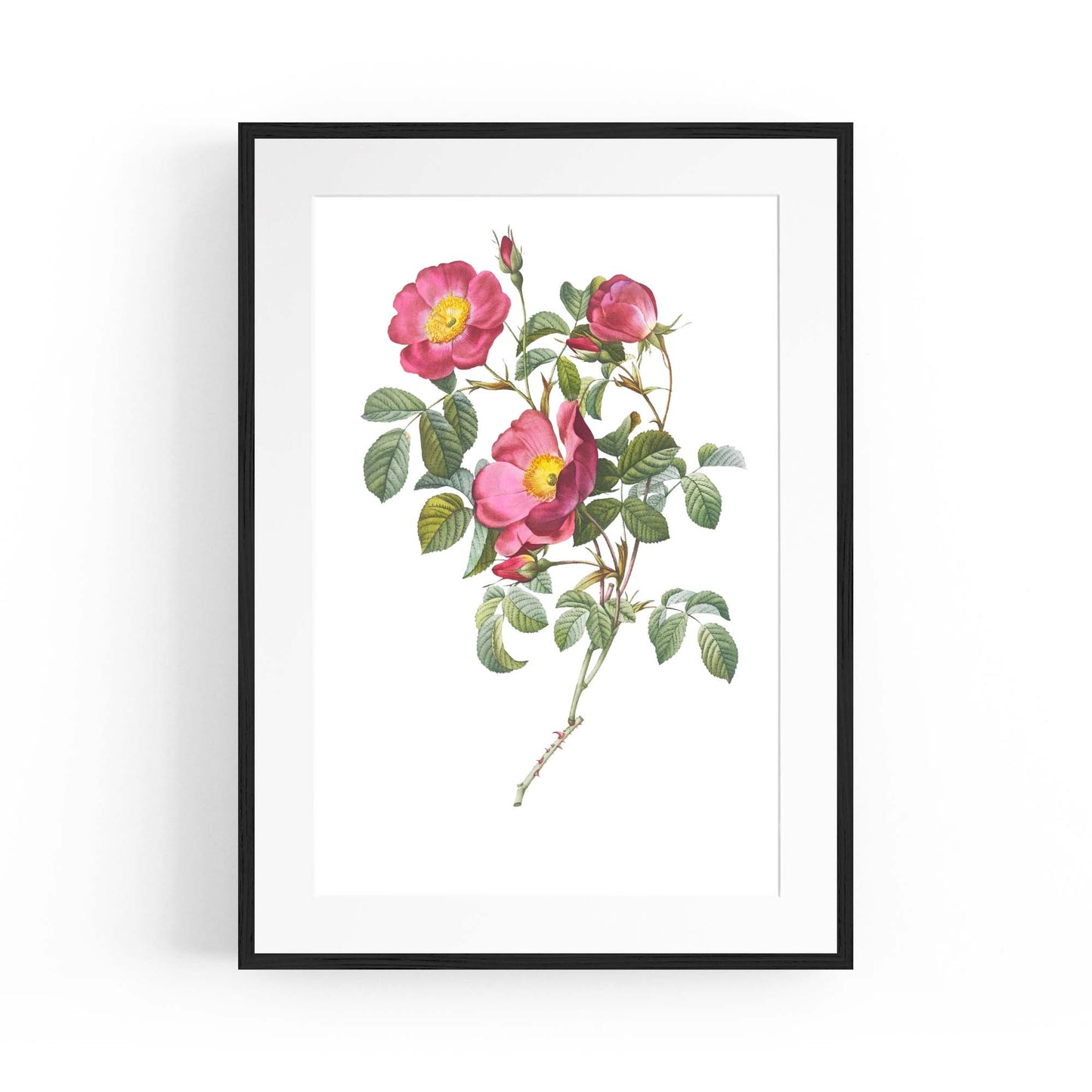 Flower Botanical Painting Kitchen Hallway Wall Art #41 - The Affordable Art Company