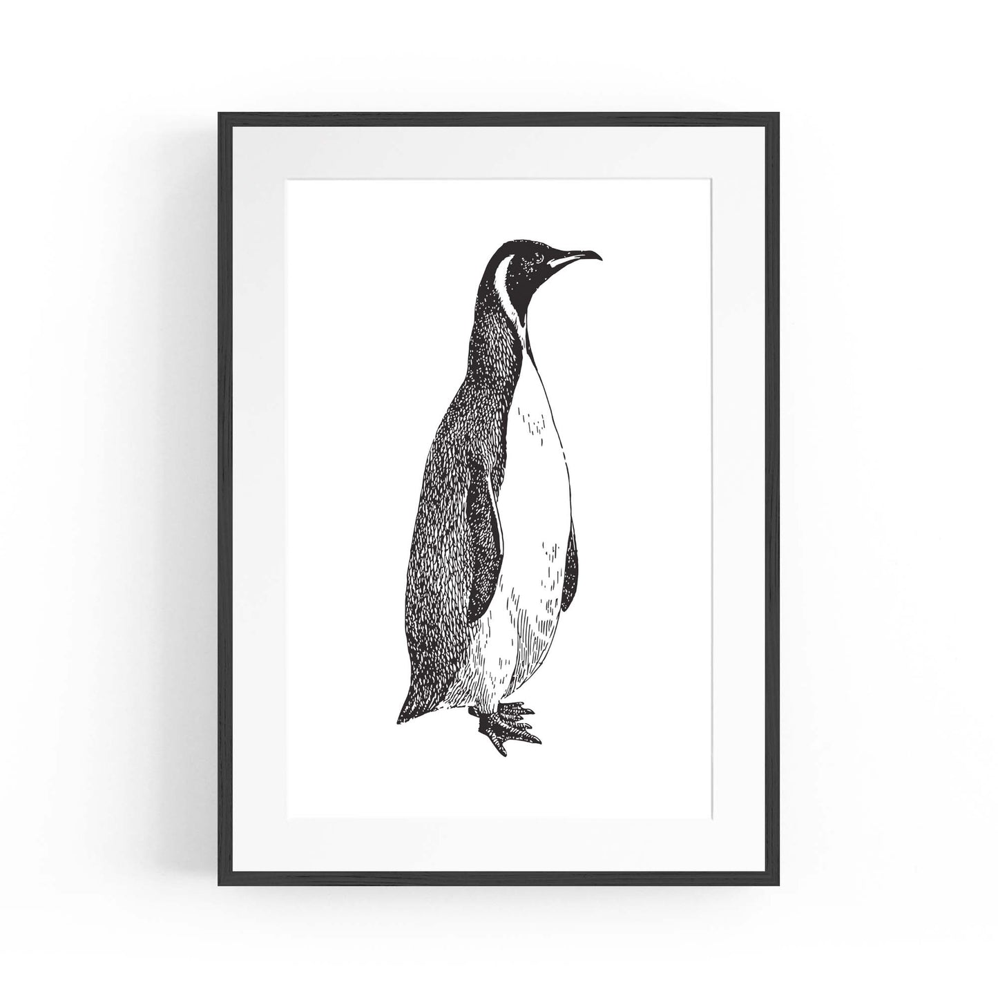 Penguin Drawing Animal Office Library Wall Art #1 - The Affordable Art Company