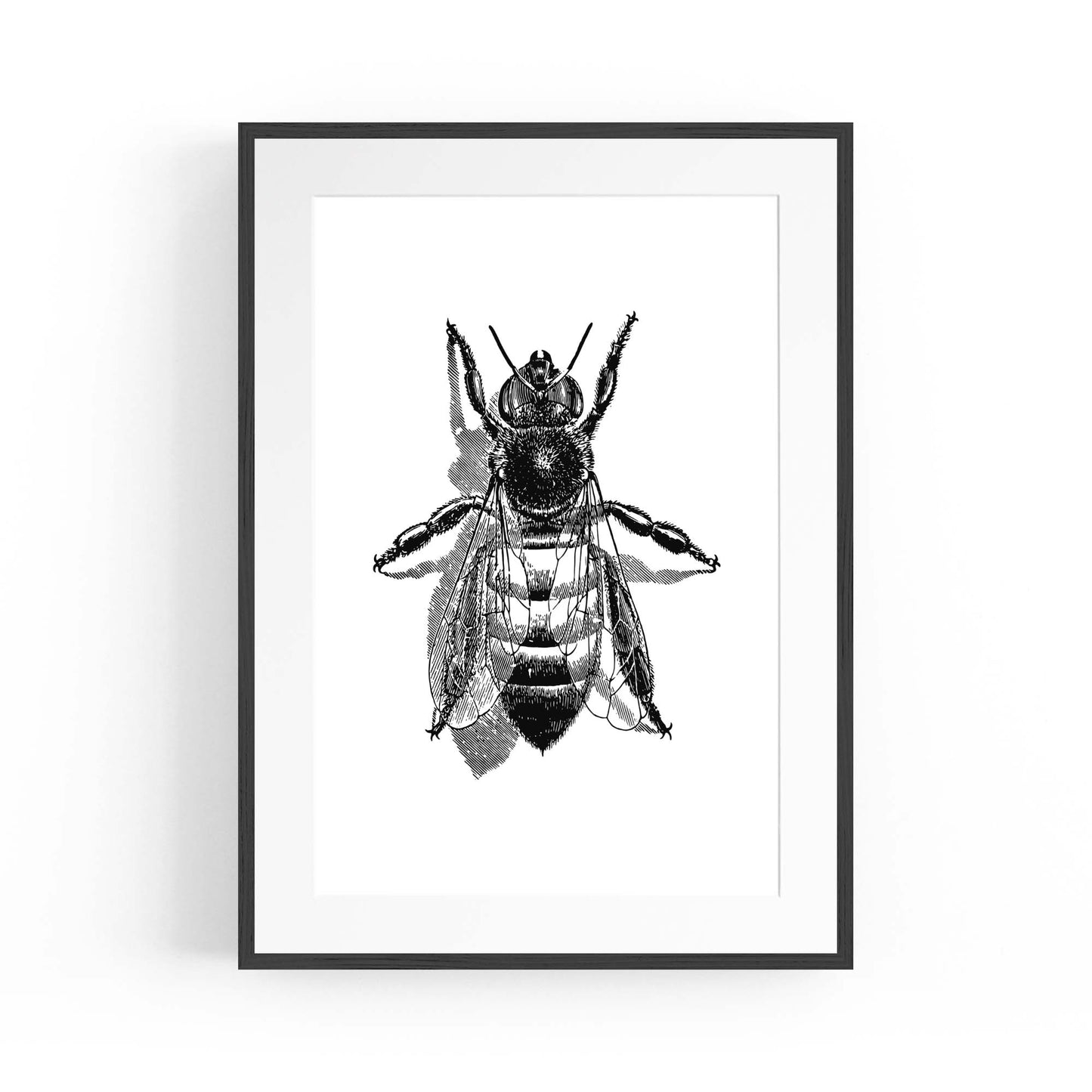 Worker Bee Drawing Insect Honey Wall Art - The Affordable Art Company