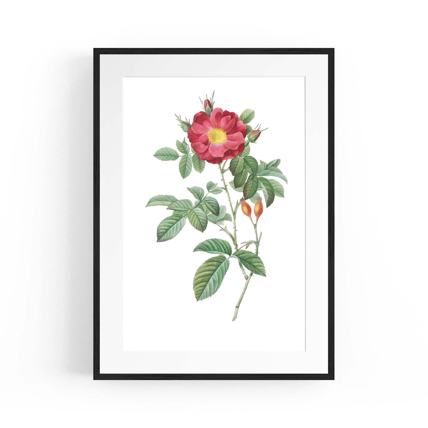 Flower Botanical Painting Kitchen Hallway Wall Art #9 - The Affordable Art Company