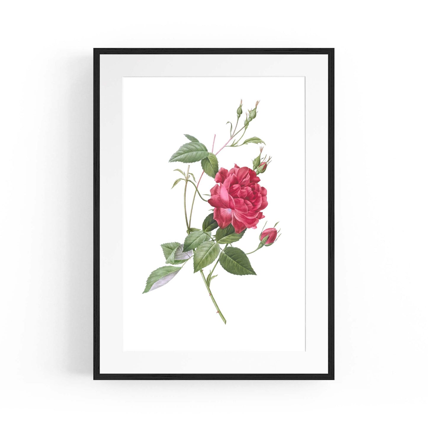 Flower Botanical Painting Kitchen Hallway Wall Art #31 - The Affordable Art Company