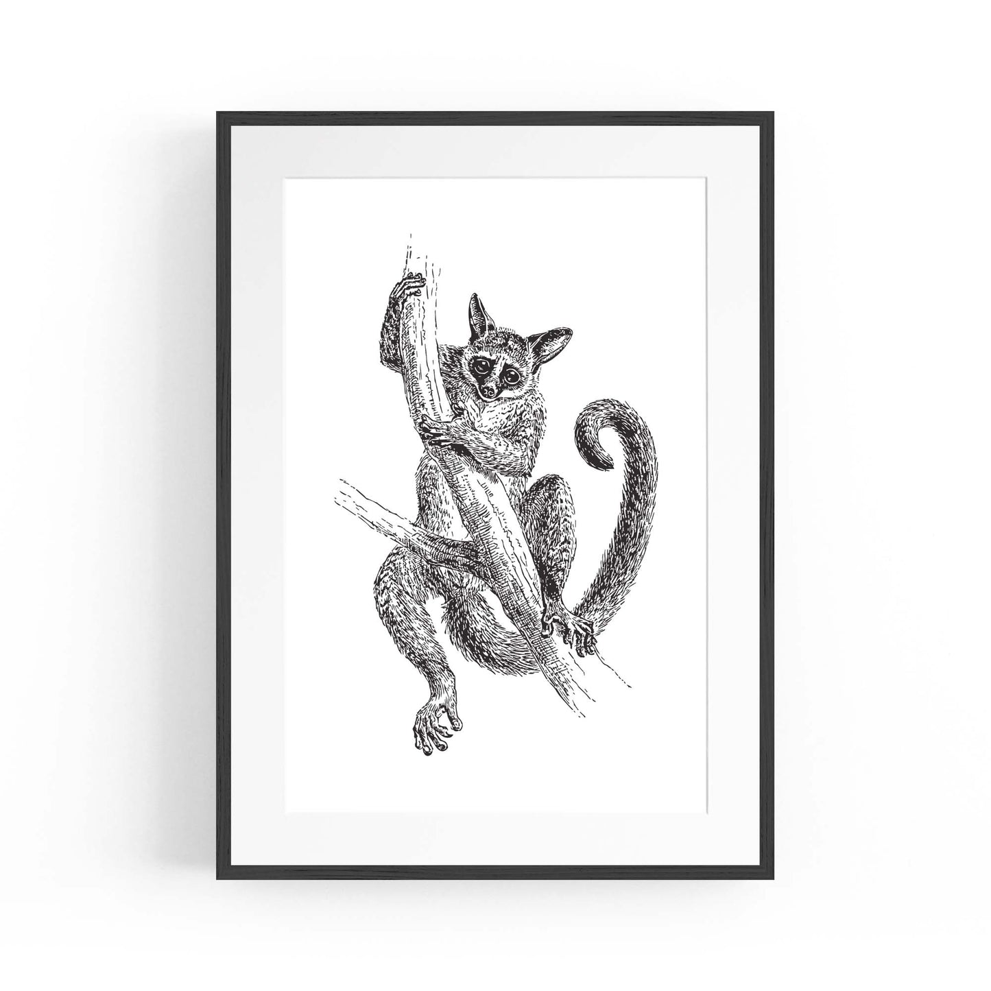 Lemur Detailed Drawing Animal Wall Art - The Affordable Art Company