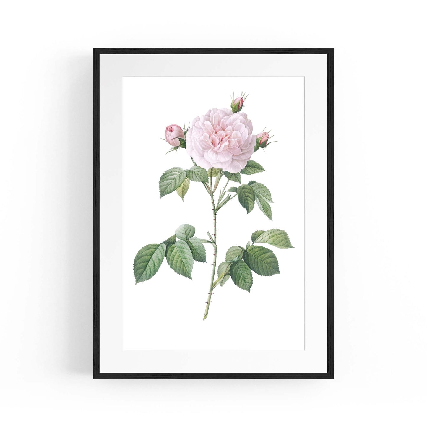 Flower Botanical Painting Kitchen Hallway Wall Art #11 - The Affordable Art Company