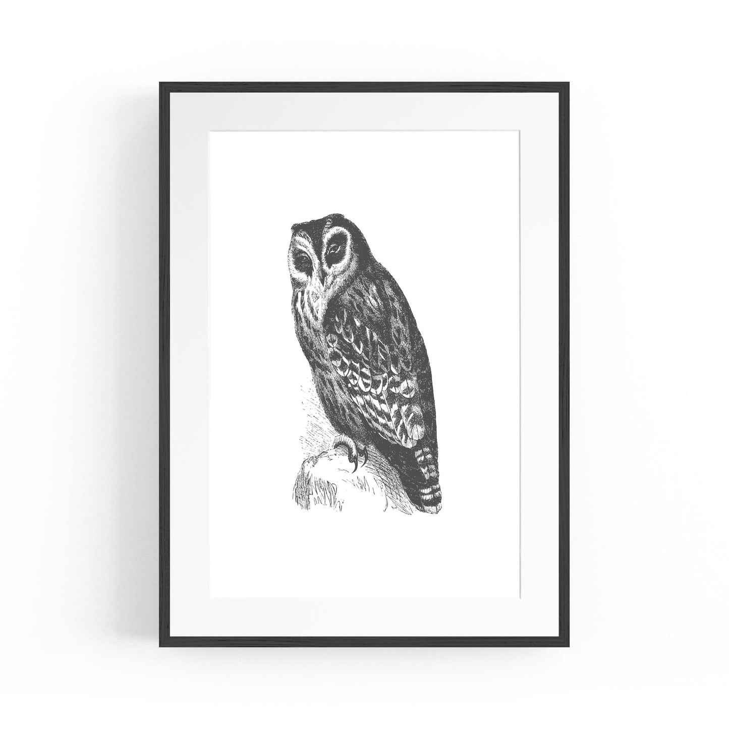 Owl Drawing Portrait Minimal Black Wall Art #4 - The Affordable Art Company