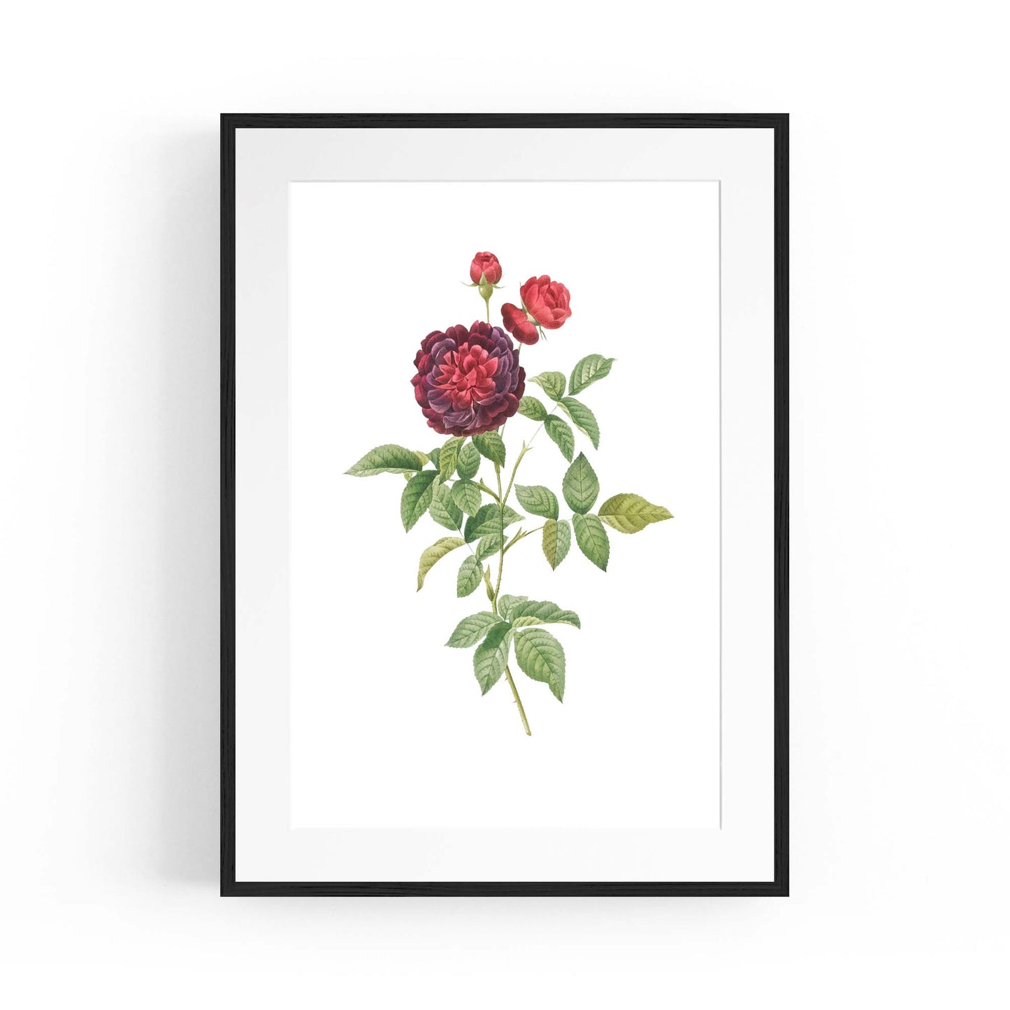 Flower Botanical Painting Kitchen Hallway Wall Art #30 - The Affordable Art Company