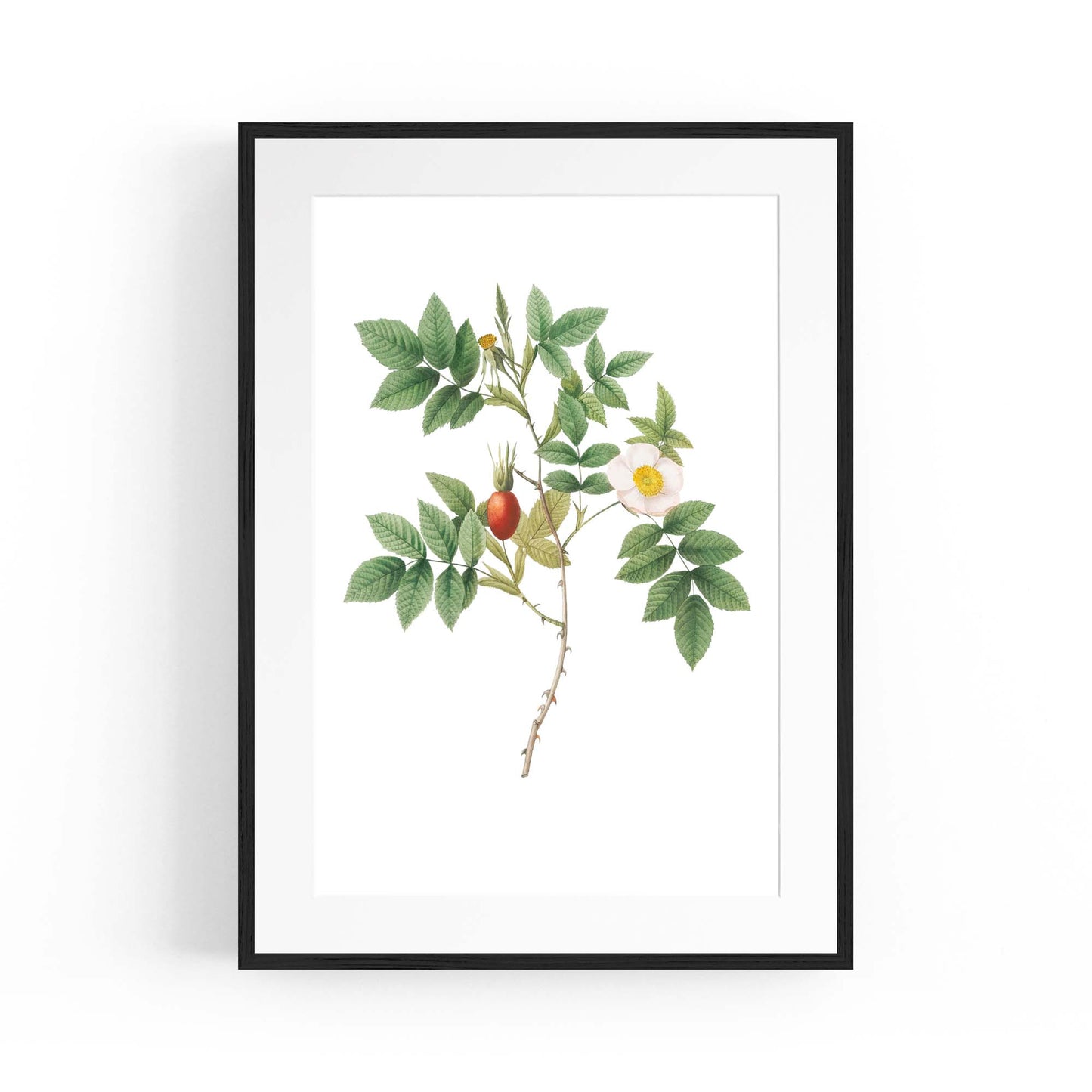 Flower Botanical Painting Kitchen Hallway Wall Art #46 - The Affordable Art Company