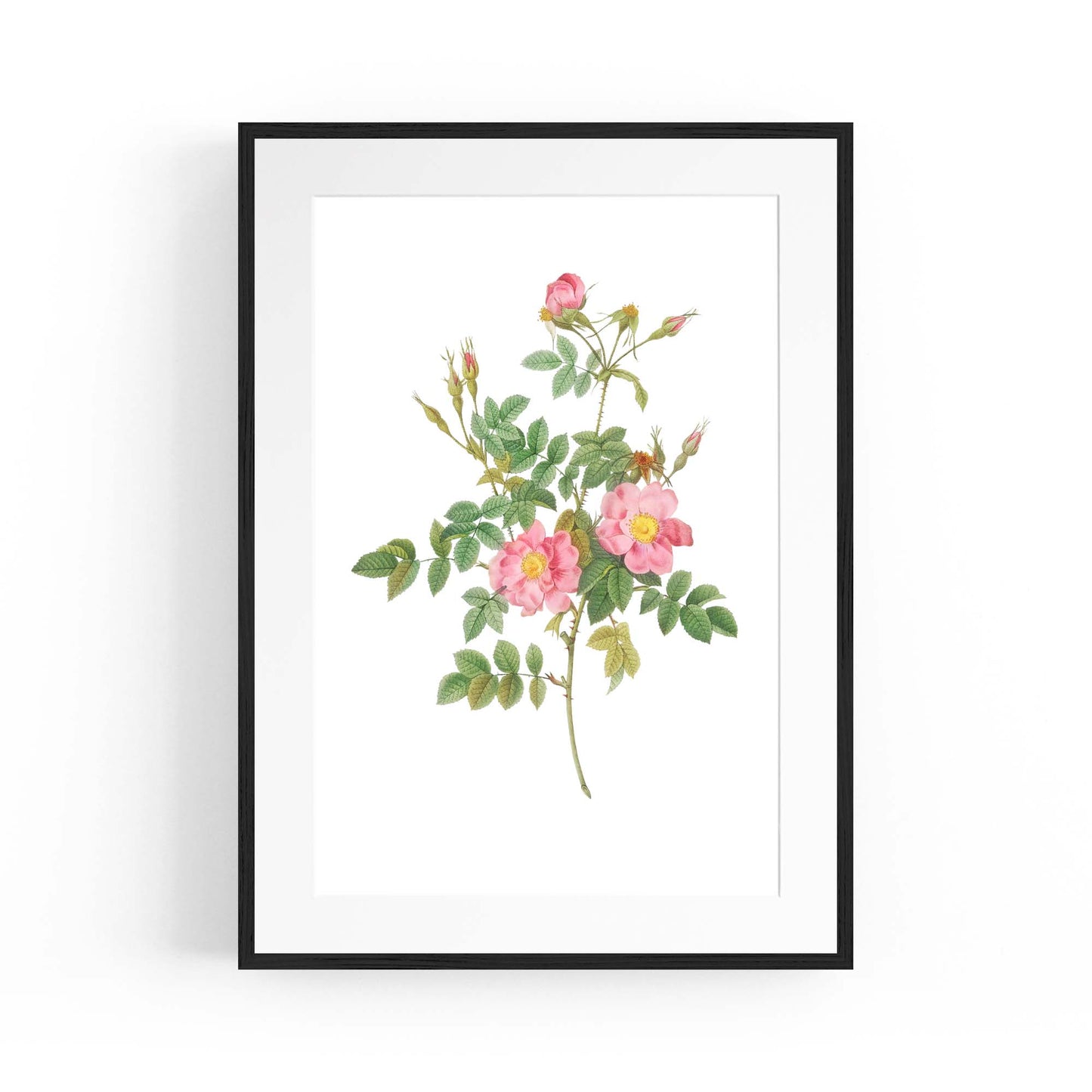 Flower Botanical Painting Kitchen Hallway Wall Art #47 - The Affordable Art Company