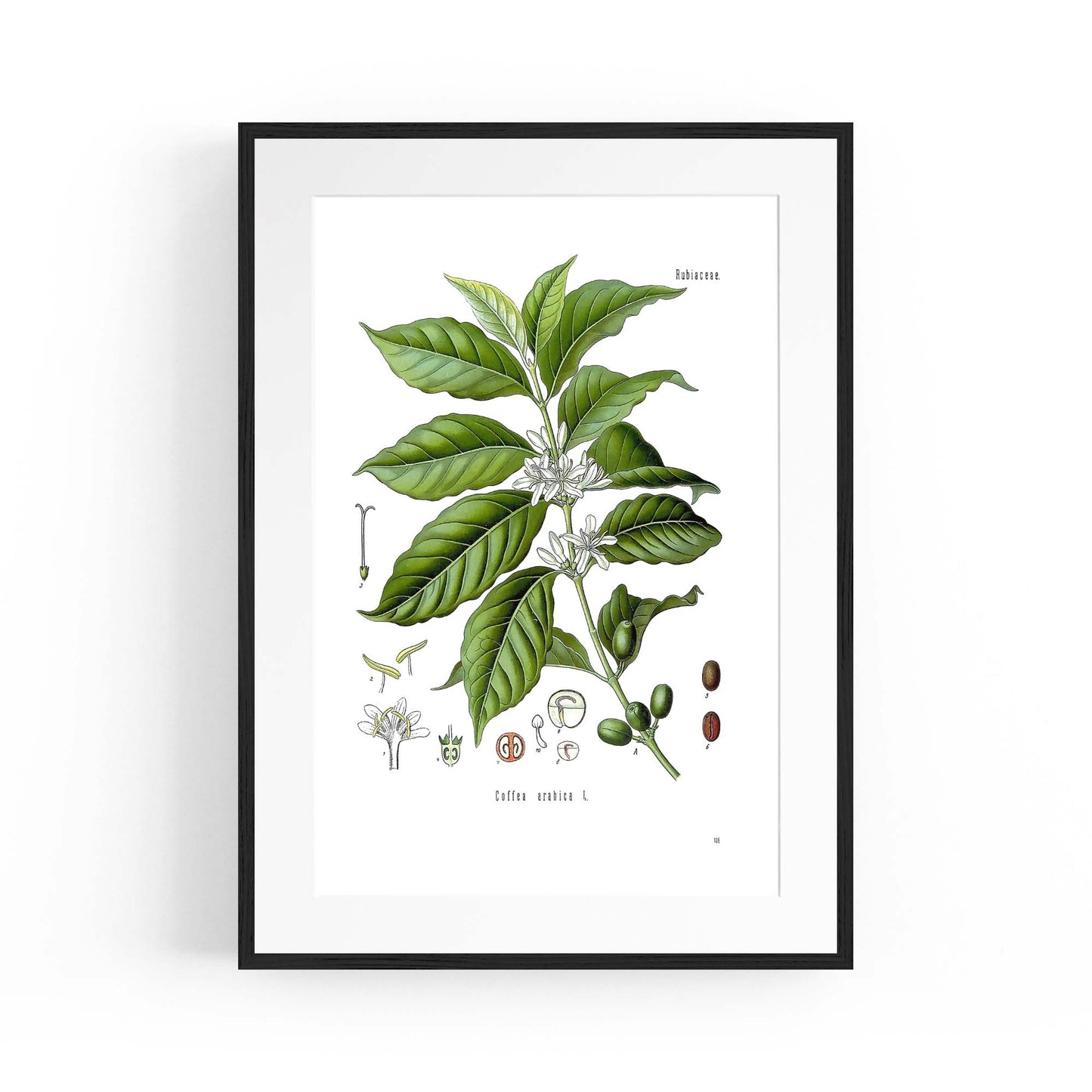 Coffee Branch Botanical Kitchen Cafe Wall Art #1 - The Affordable Art Company