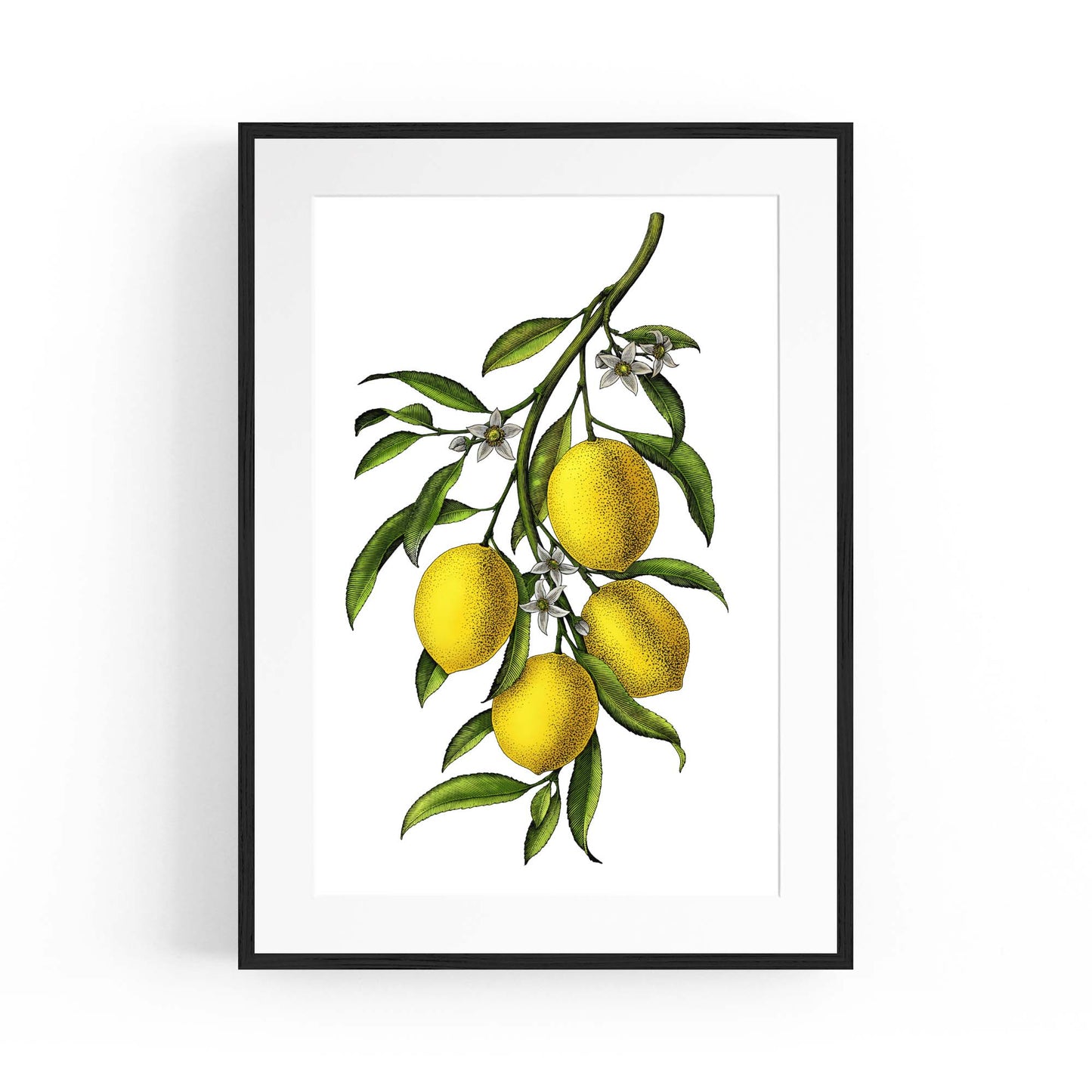 Lemon Branch Vintage Botanical Kitchen Wall Art - The Affordable Art Company