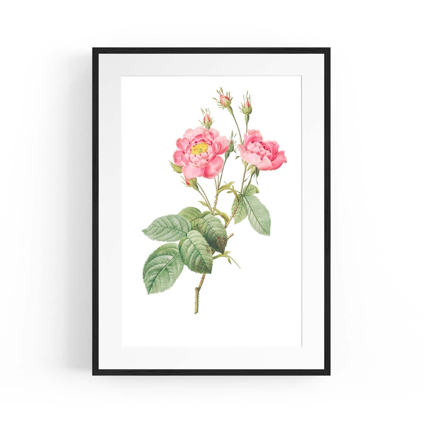 Flower Botanical Painting Kitchen Hallway Wall Art #12 - The Affordable Art Company