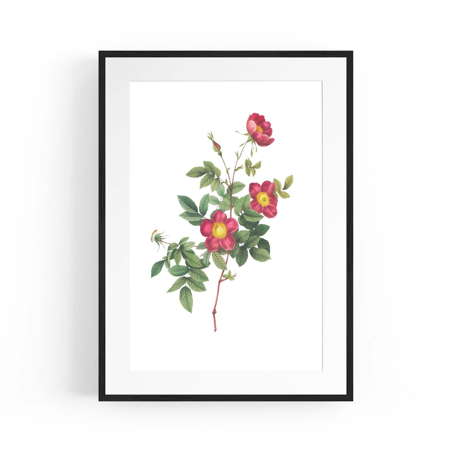 Flower Botanical Painting Kitchen Hallway Wall Art #7 - The Affordable Art Company