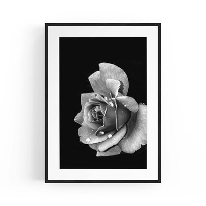 Black and White Rose Flower Photograph Wall Art - The Affordable Art Company