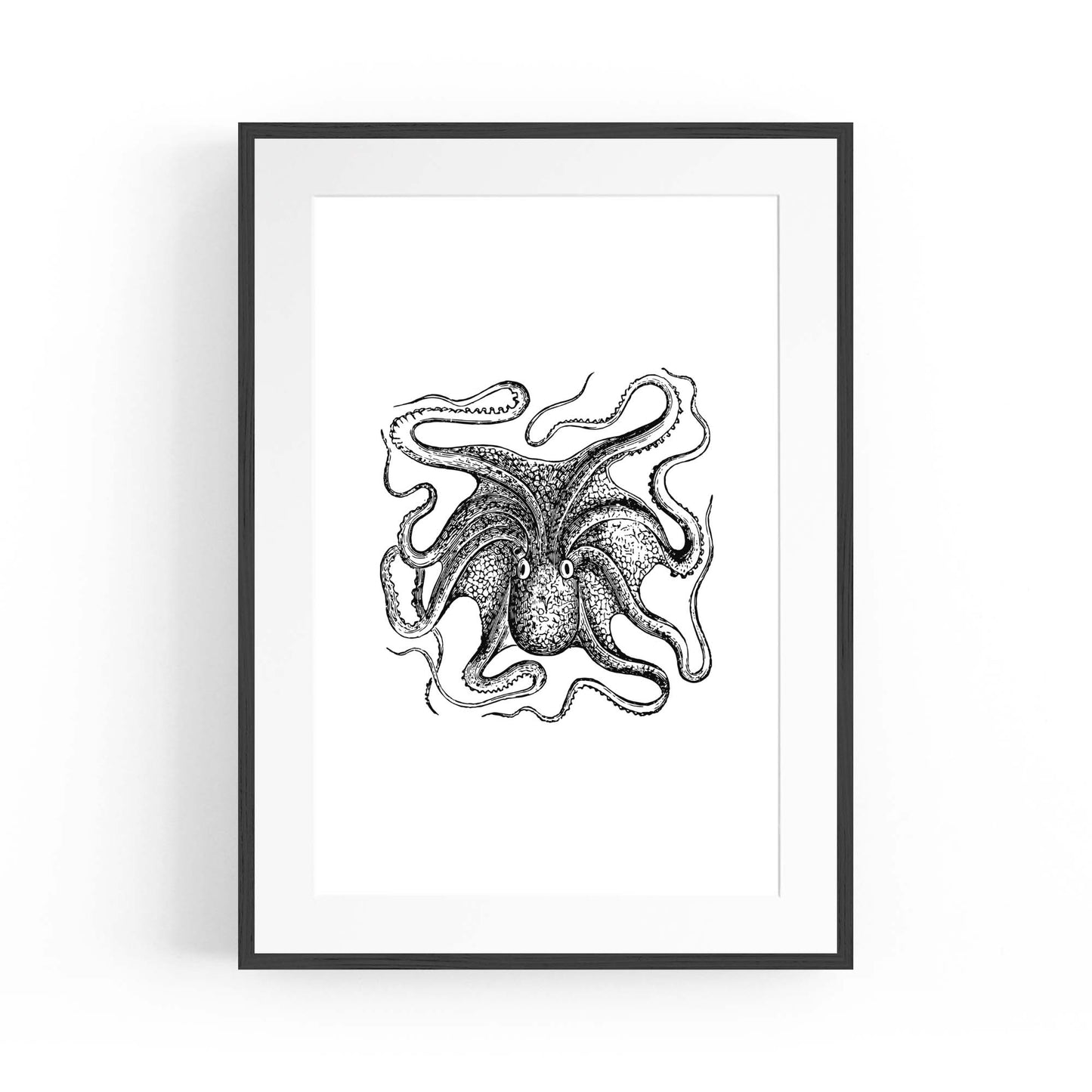 Octopus Drawing Minimal Sealife Wall Art #1 - The Affordable Art Company
