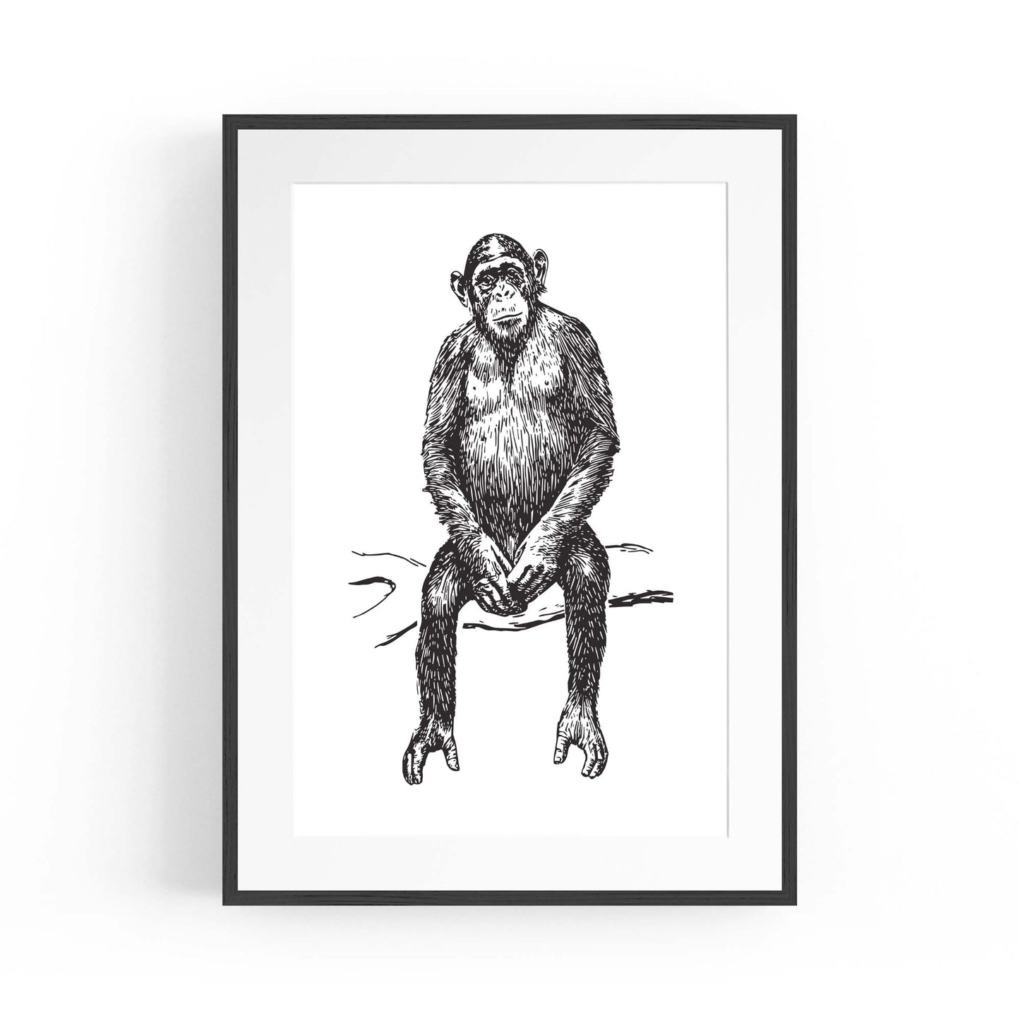 Monkey Drawing Animal Jungle Wall Art - The Affordable Art Company