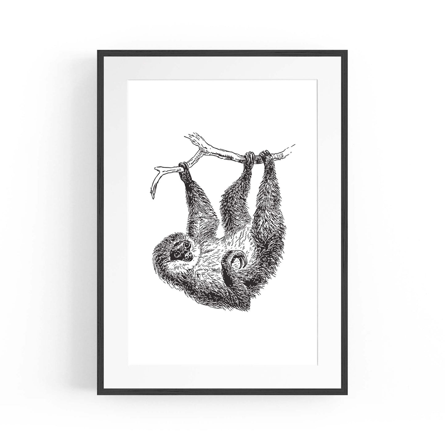Sloth Drawing Animal Minimal Wall Art - The Affordable Art Company