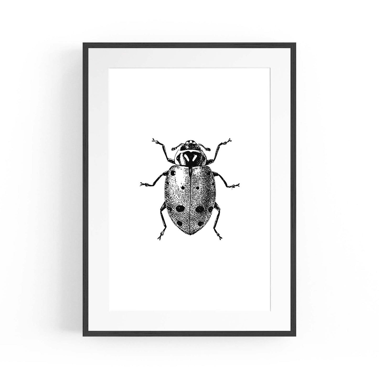 Ladybird Detailed Drawing Insect Office Wall Art - The Affordable Art Company