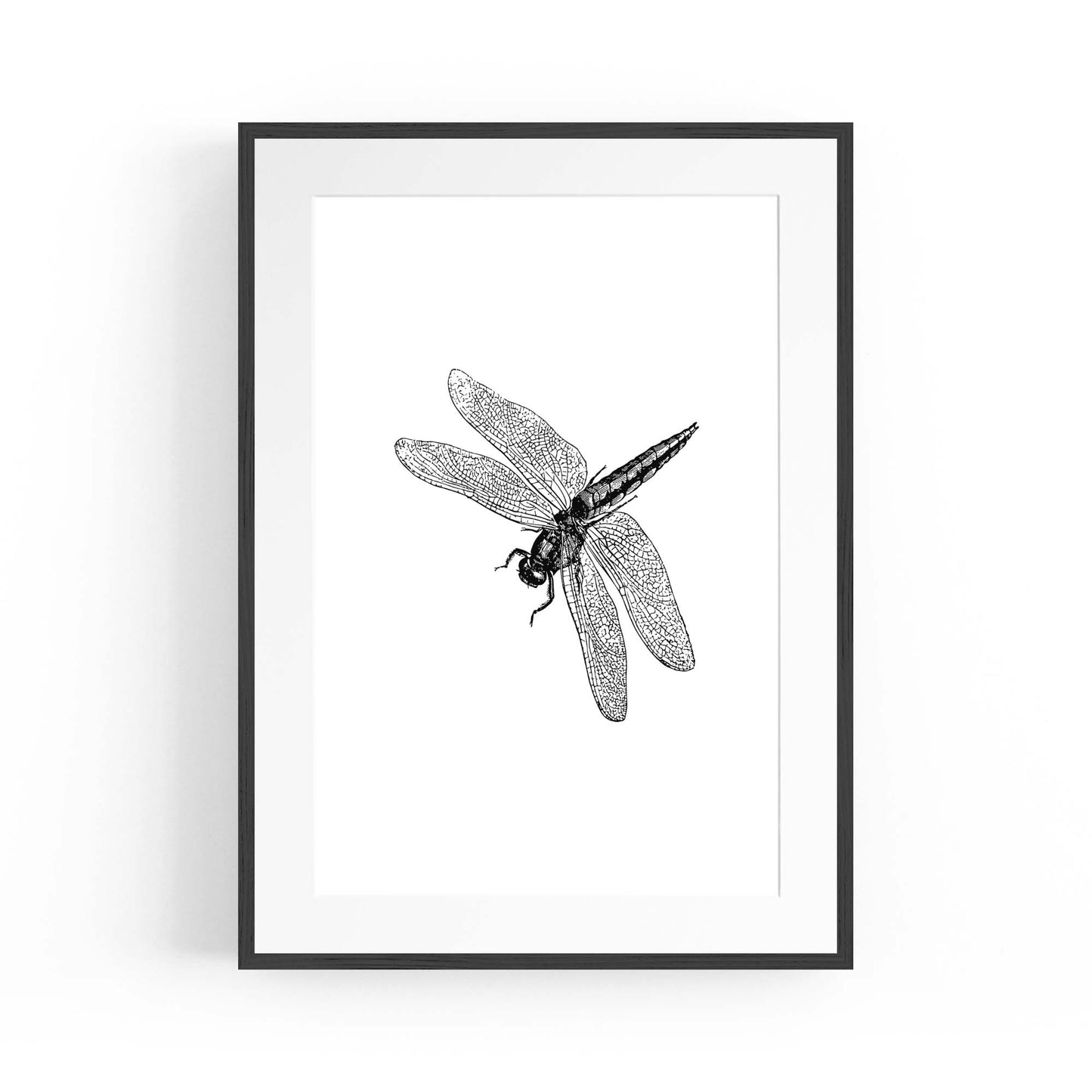 Dragonfly Drawing Insect Minimal Artwork Wall Art #2 - The Affordable Art Company