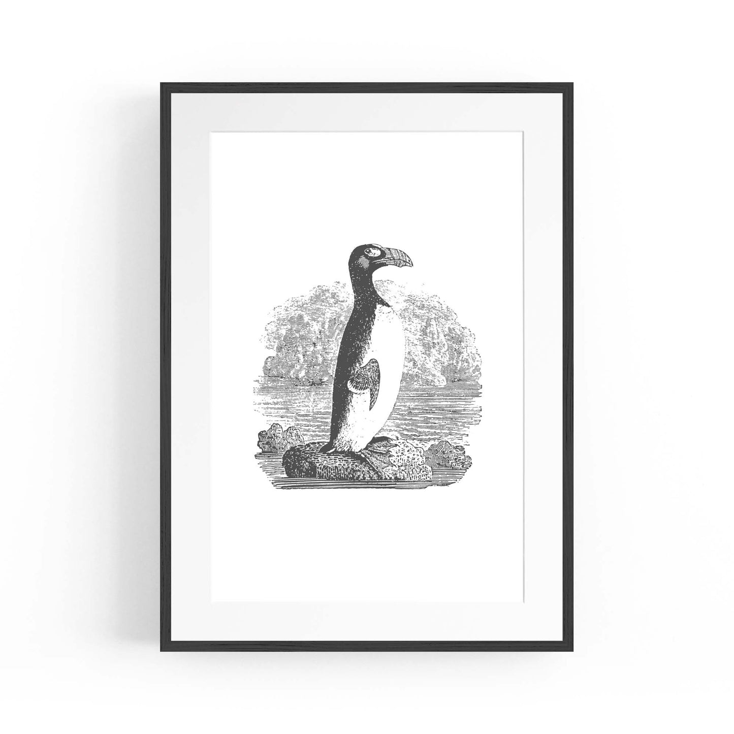 Penguin Drawing Animal Office Library Wall Art #2 - The Affordable Art Company