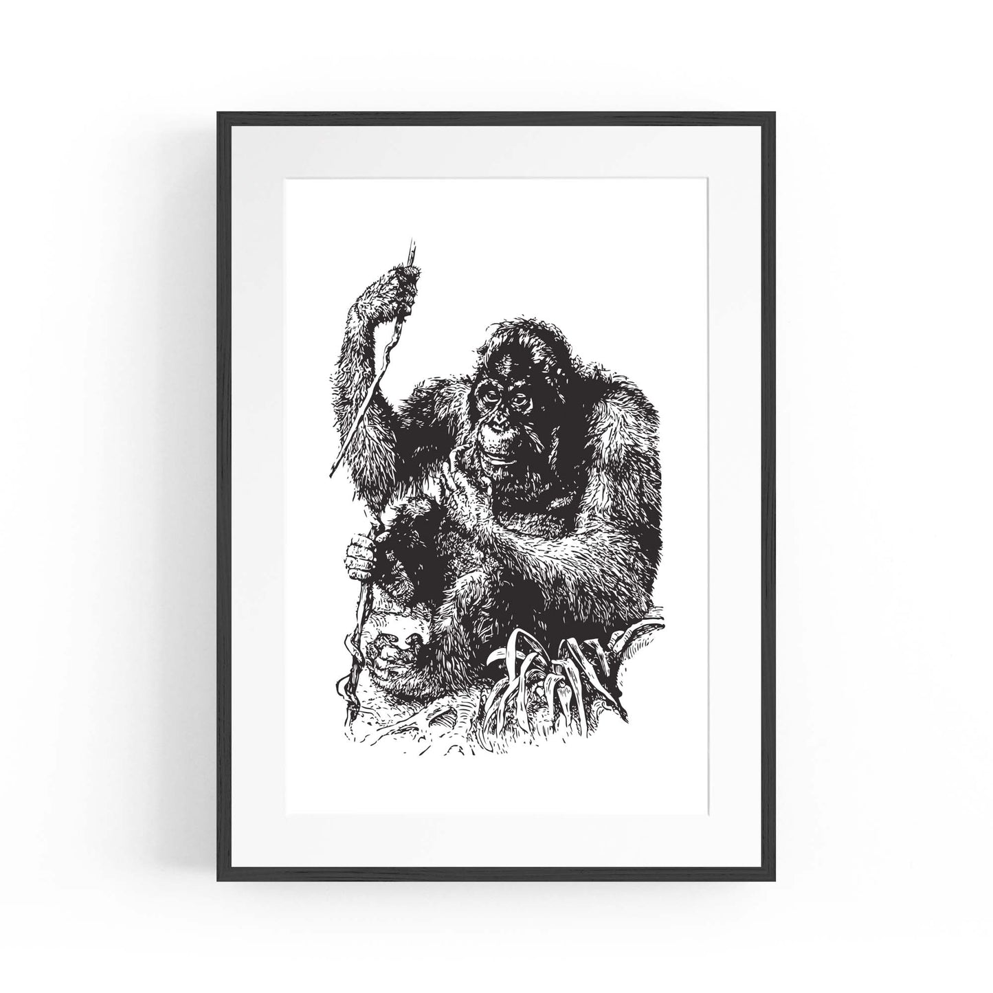 Orangutan Drawing Jungle Animal Wall Art - The Affordable Art Company