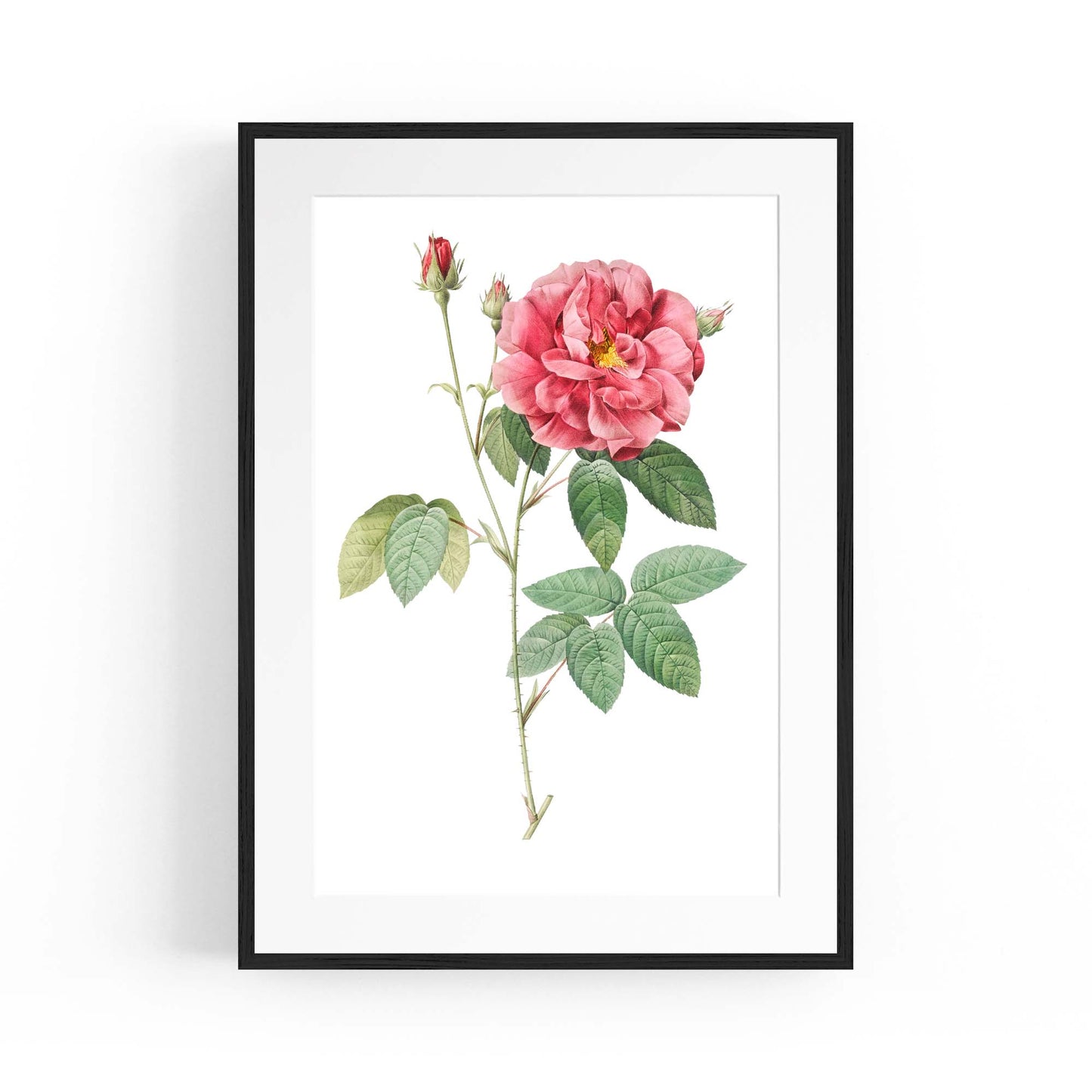 Flower Botanical Painting Kitchen Hallway Wall Art #17 - The Affordable Art Company