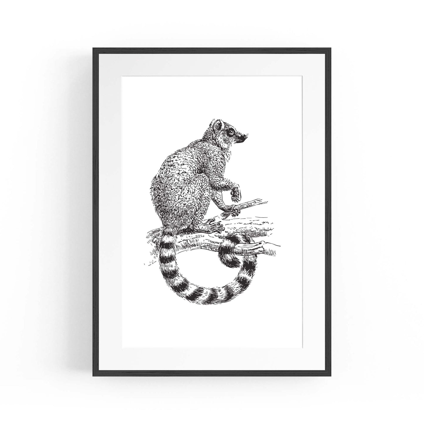 Possum Drawing Animal Wall Art - The Affordable Art Company