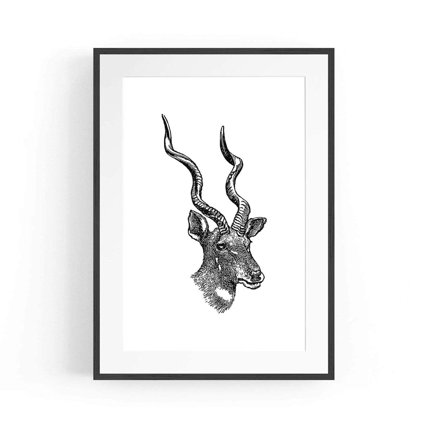 Kudu Detailed Drawing African Safari Wall Art - The Affordable Art Company