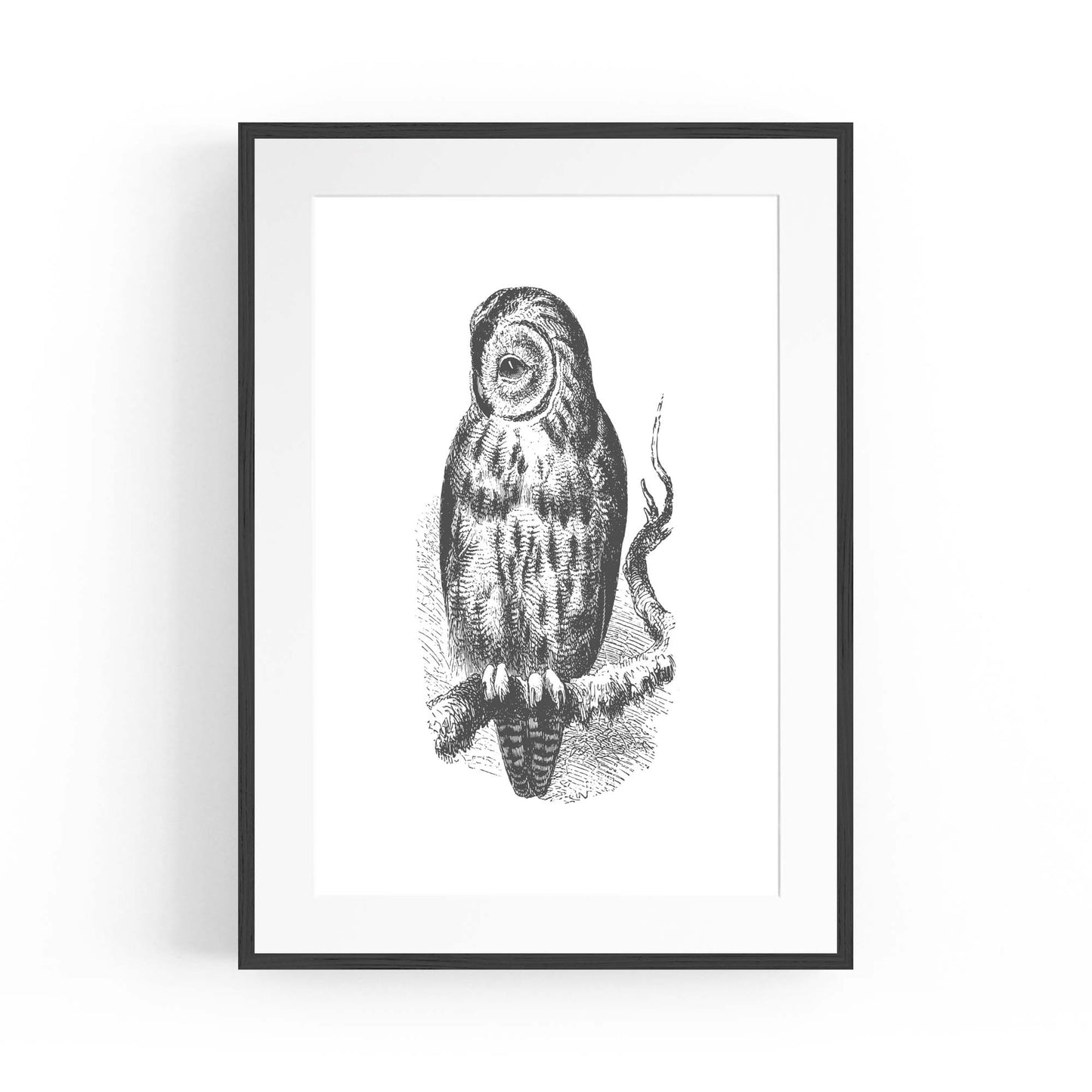 Owl Drawing Portrait Minimal Black Wall Art #3 - The Affordable Art Company