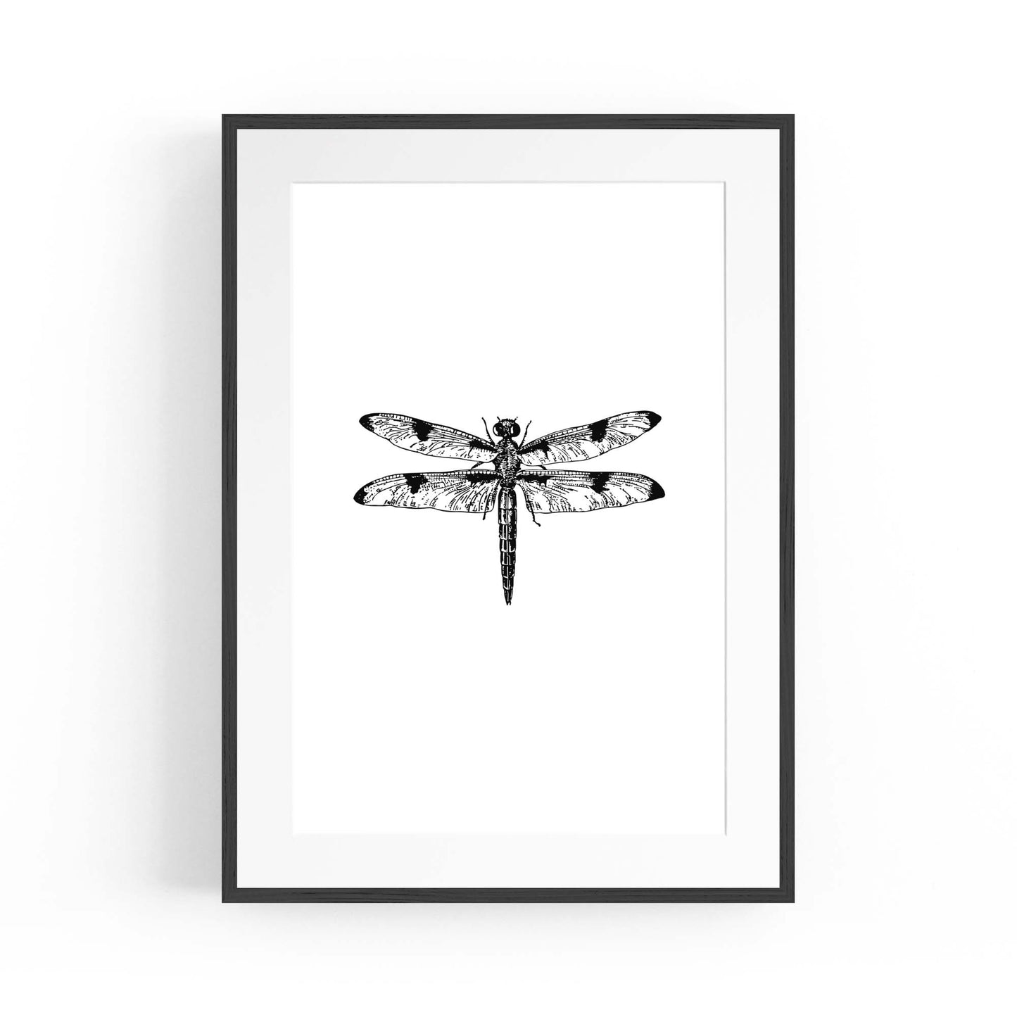 Dragonfly Drawing Insect Minimal Artwork Wall Art #1 - The Affordable Art Company