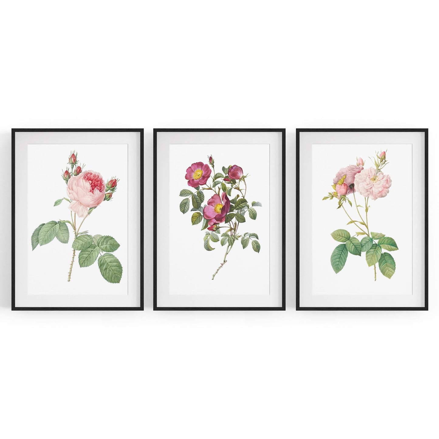 Set of Pink & White Flower Botanical Wall Art - The Affordable Art Company
