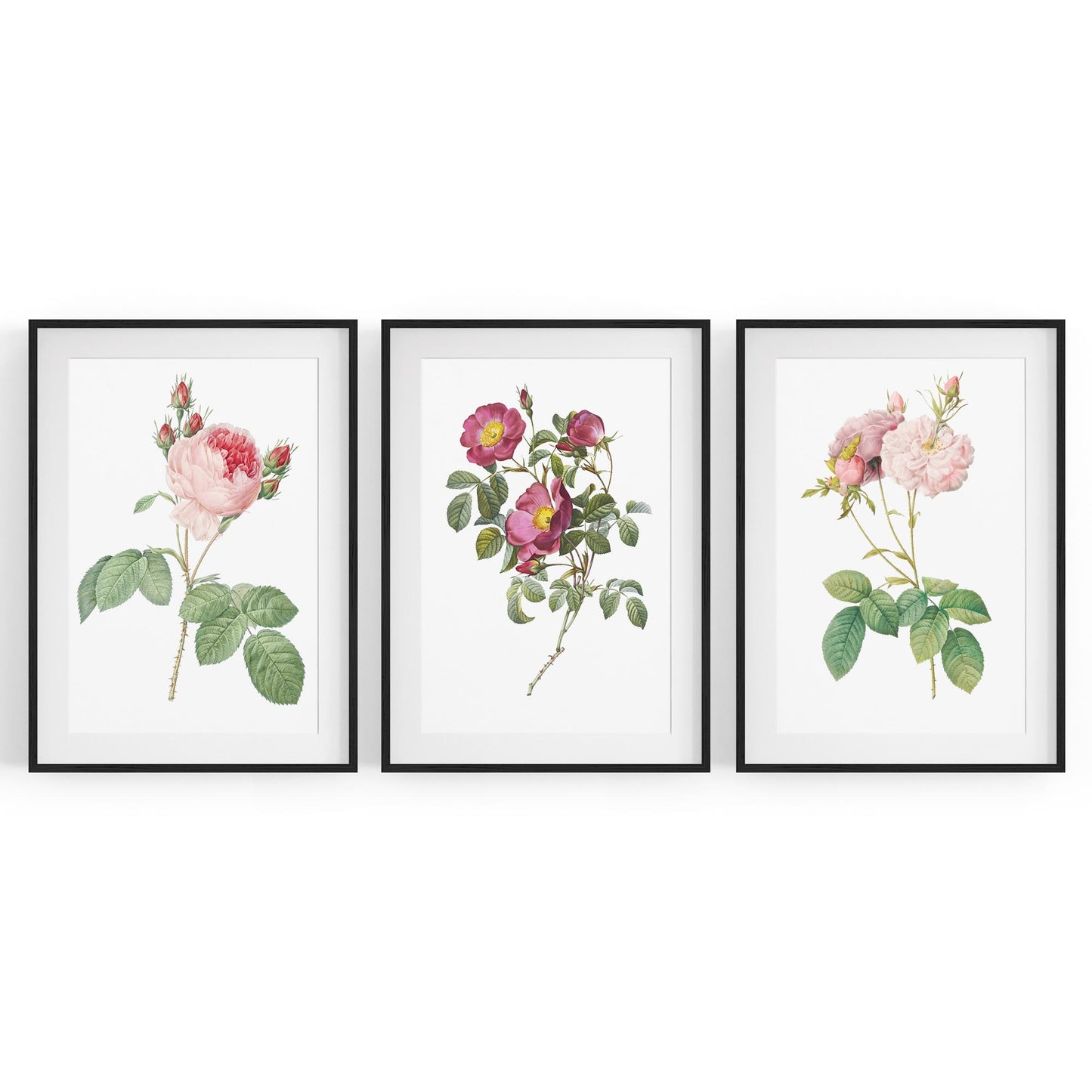 Set of Pink & White Flower Botanical Wall Art - The Affordable Art Company