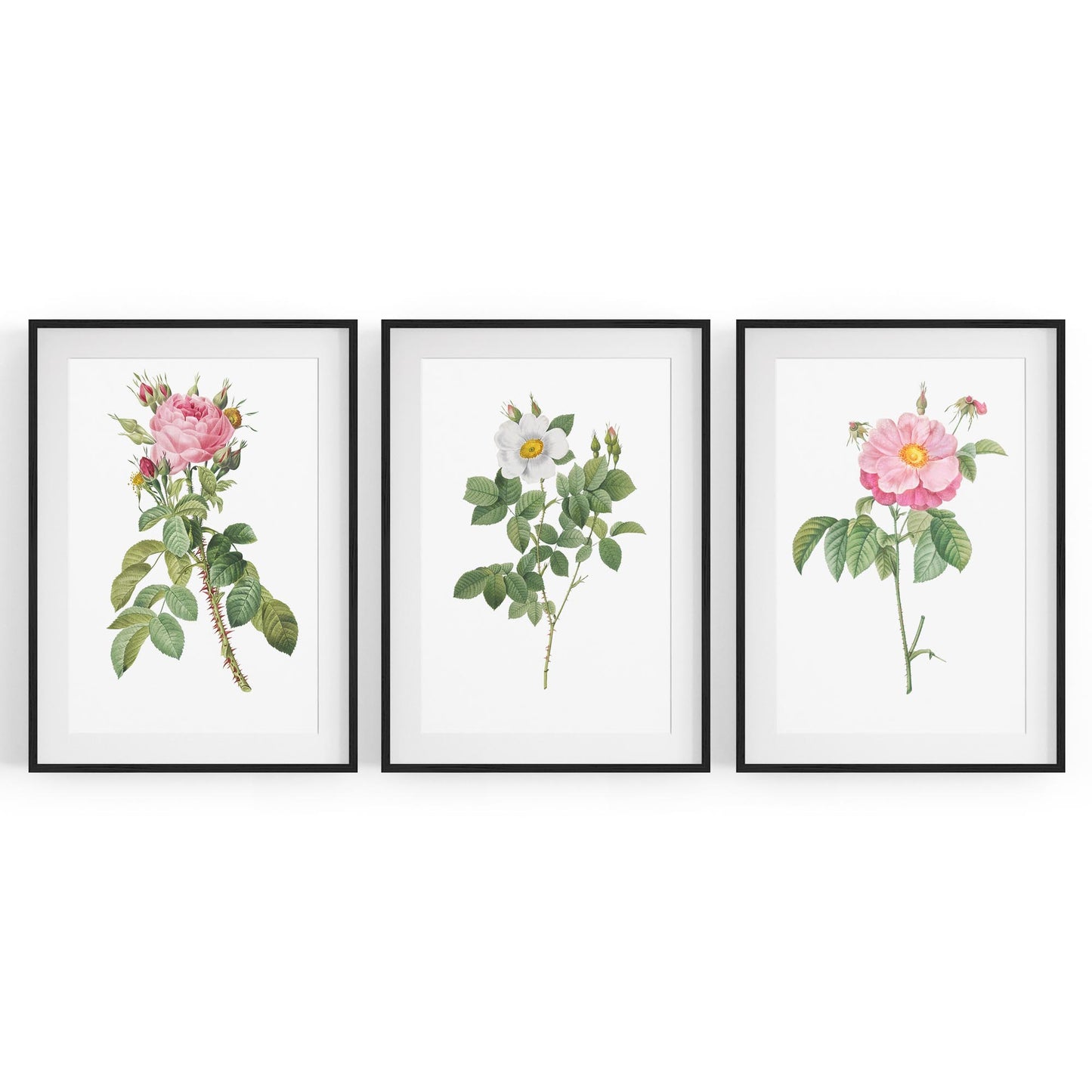 Set of Pink Floral Vintage Botanical Wall Art #2 - The Affordable Art Company