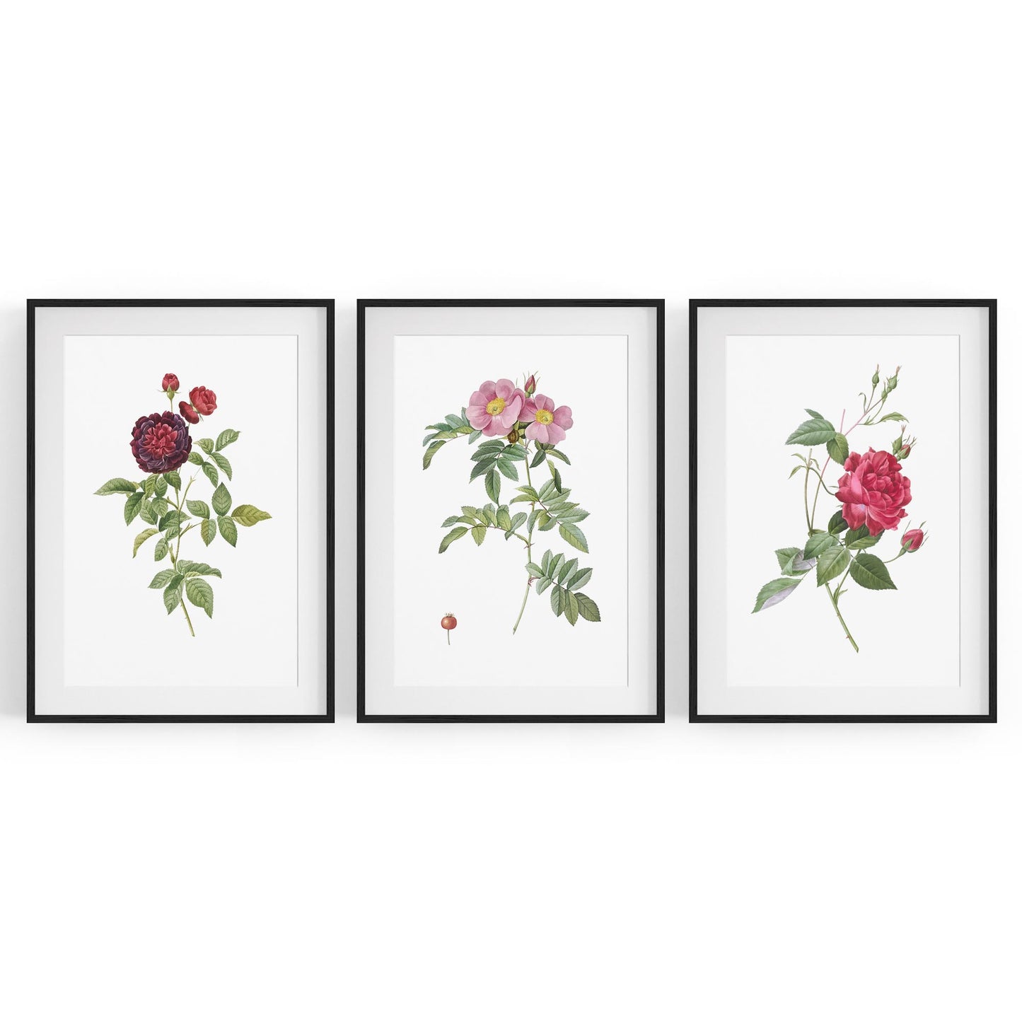 Set of Red & White Flower Botanical Wall Art - The Affordable Art Company