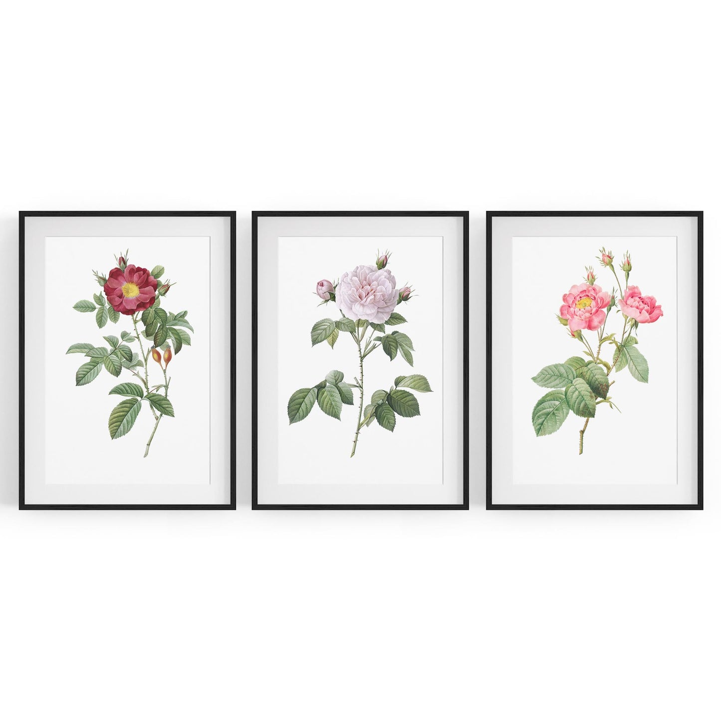 Set of Pink Floral Vintage Botanical Wall Art #3 - The Affordable Art Company