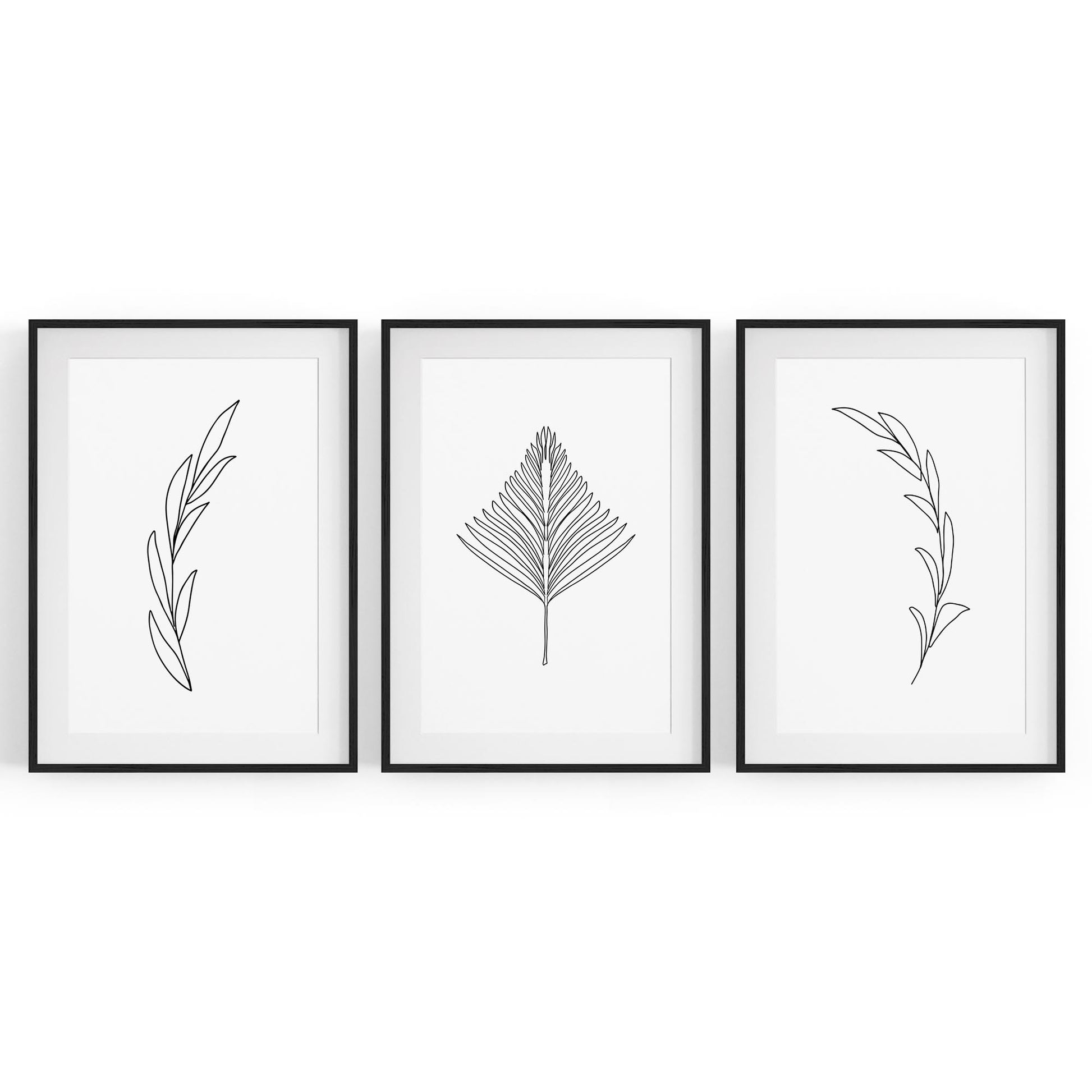 Set of Minimal Plant Line Drawings Wall Art #1 - The Affordable Art Company