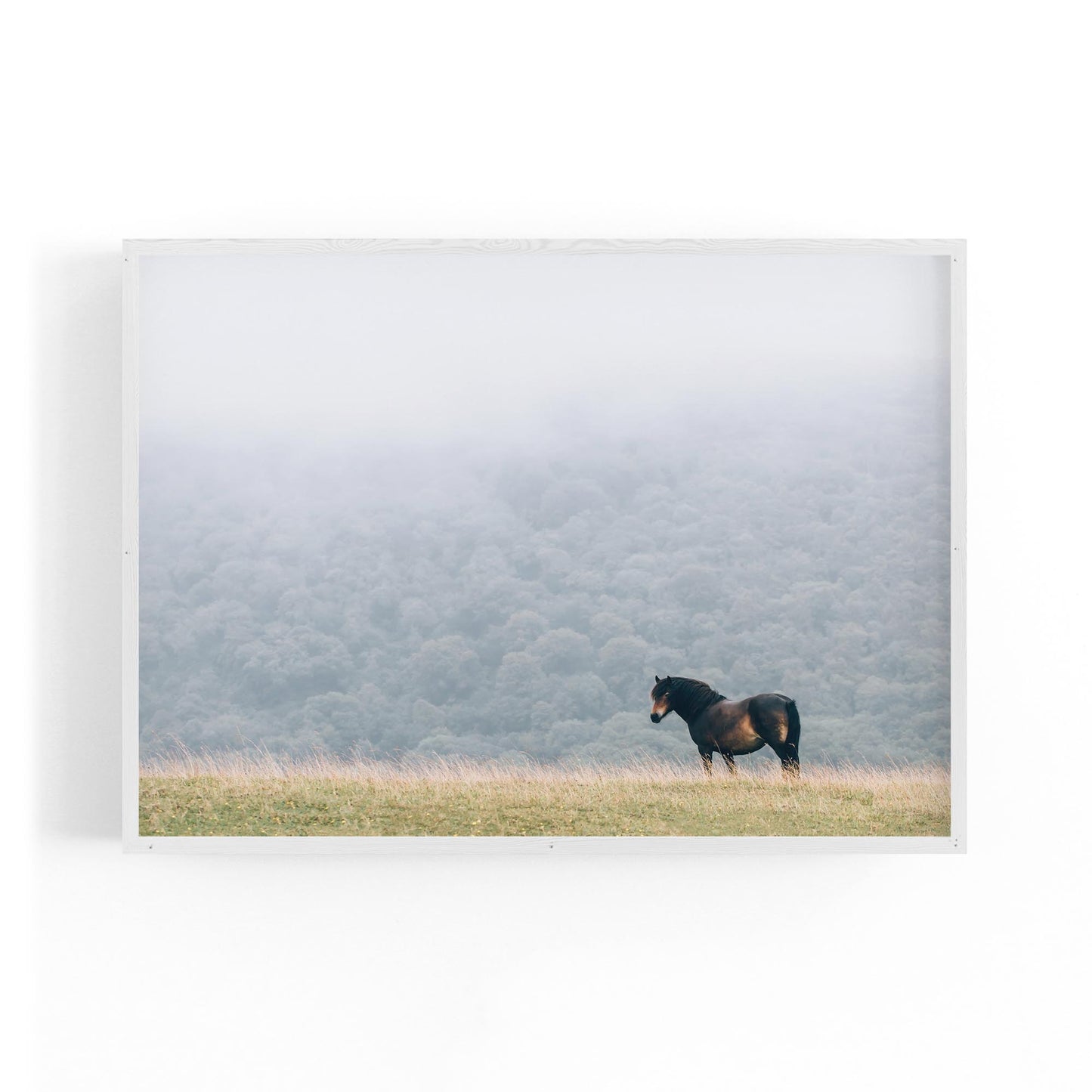 Lone Horse Landscape Photograph Nature Wall Art - The Affordable Art Company