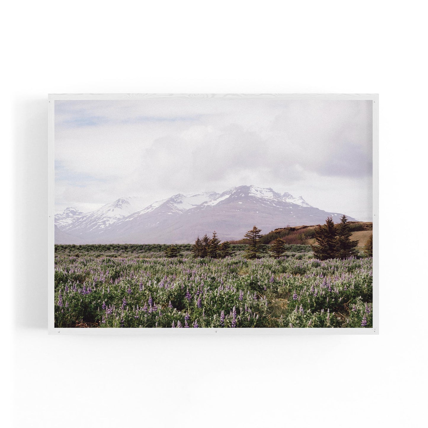 Calm Winter Landscape Photograph Wall Art - The Affordable Art Company