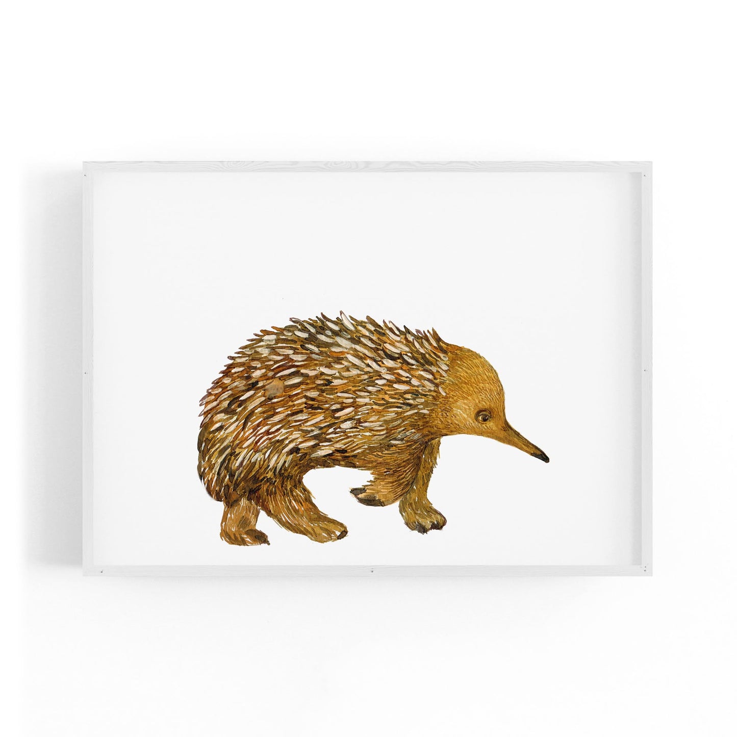 Australian Echidna Painting Animal Nursery Wall Art - The Affordable Art Company
