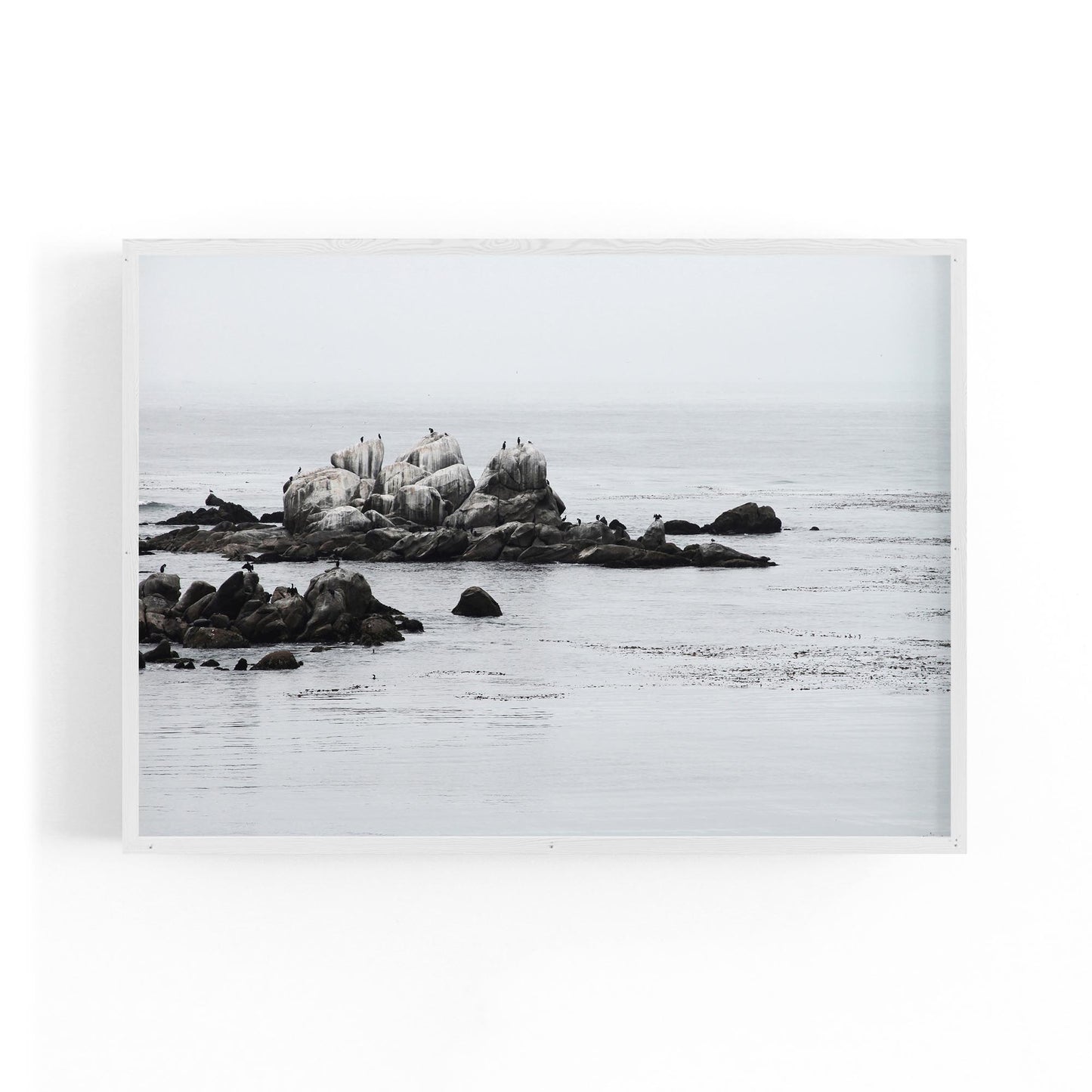 Wild Rocks Coastal Photograph Wall Art - The Affordable Art Company