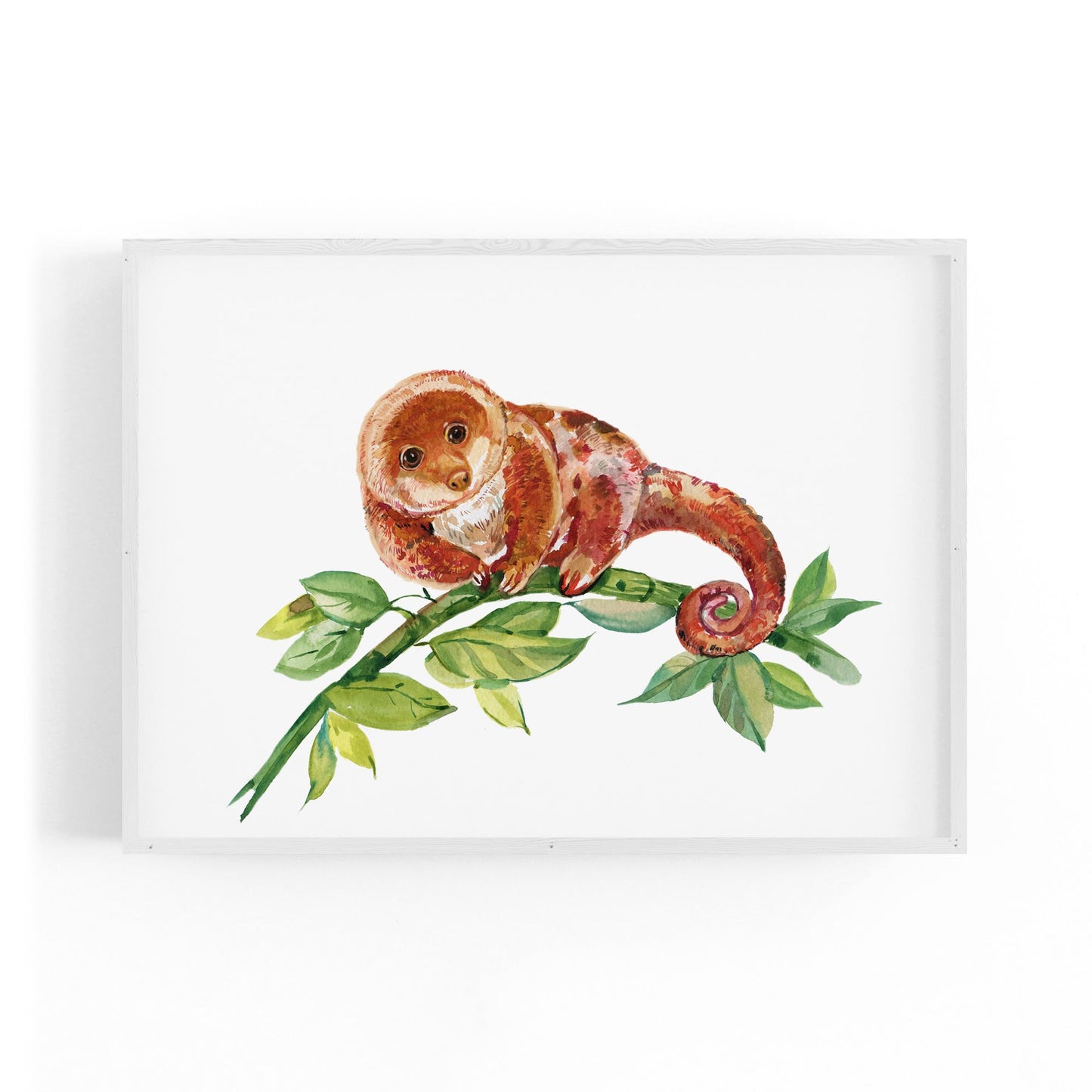 Australian Tree Kangaroo Painting Animal Wall Art - The Affordable Art Company