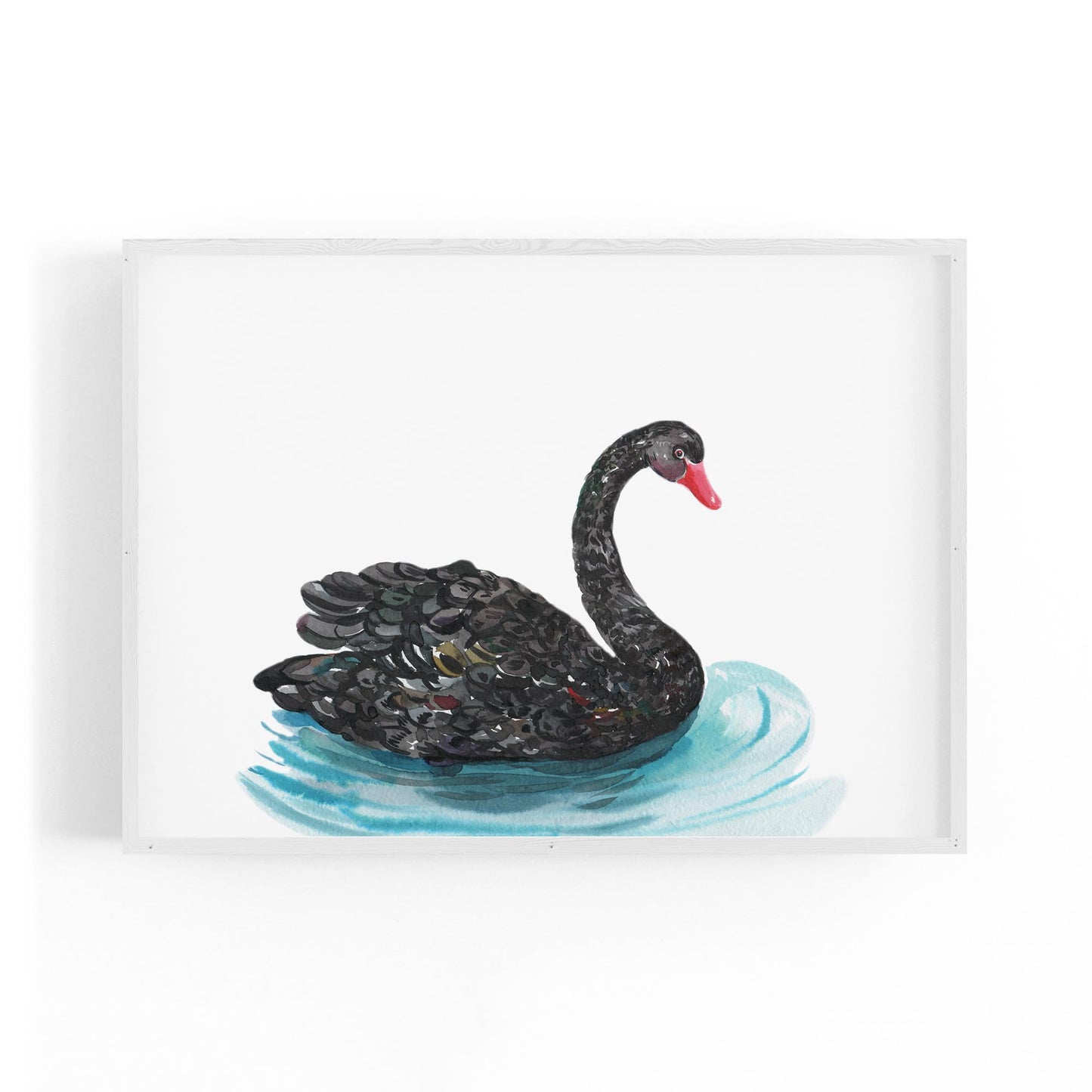 Black Swan Australian Animal Nursery Wall Art - The Affordable Art Company