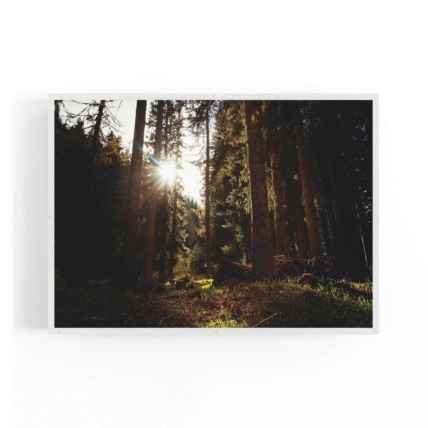 Morning Nature Sunset Photograph Wall Art - The Affordable Art Company